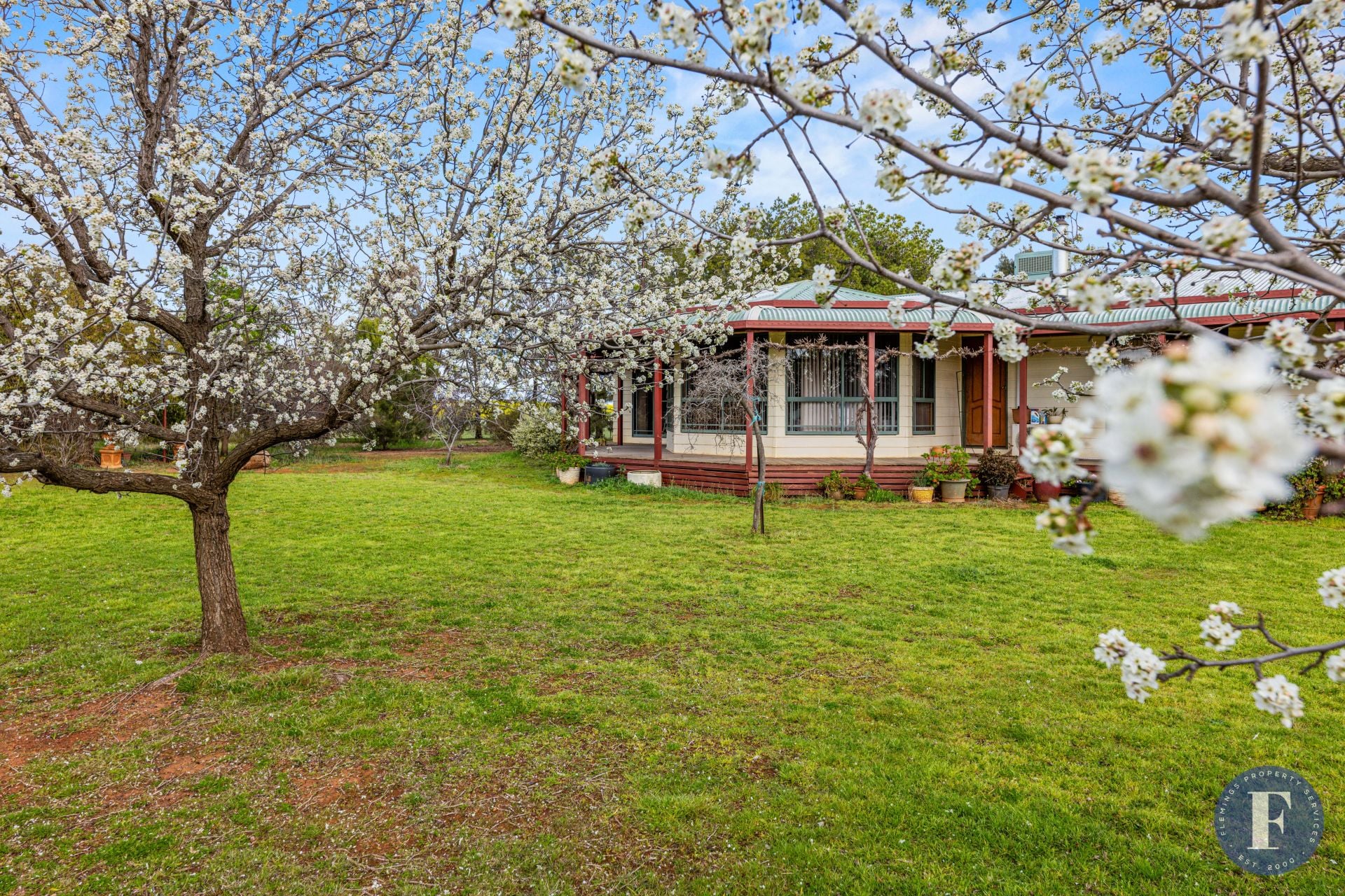 893 Deaths Lane, Pullabooka NSW, Pullabooka - Thumbnail 2