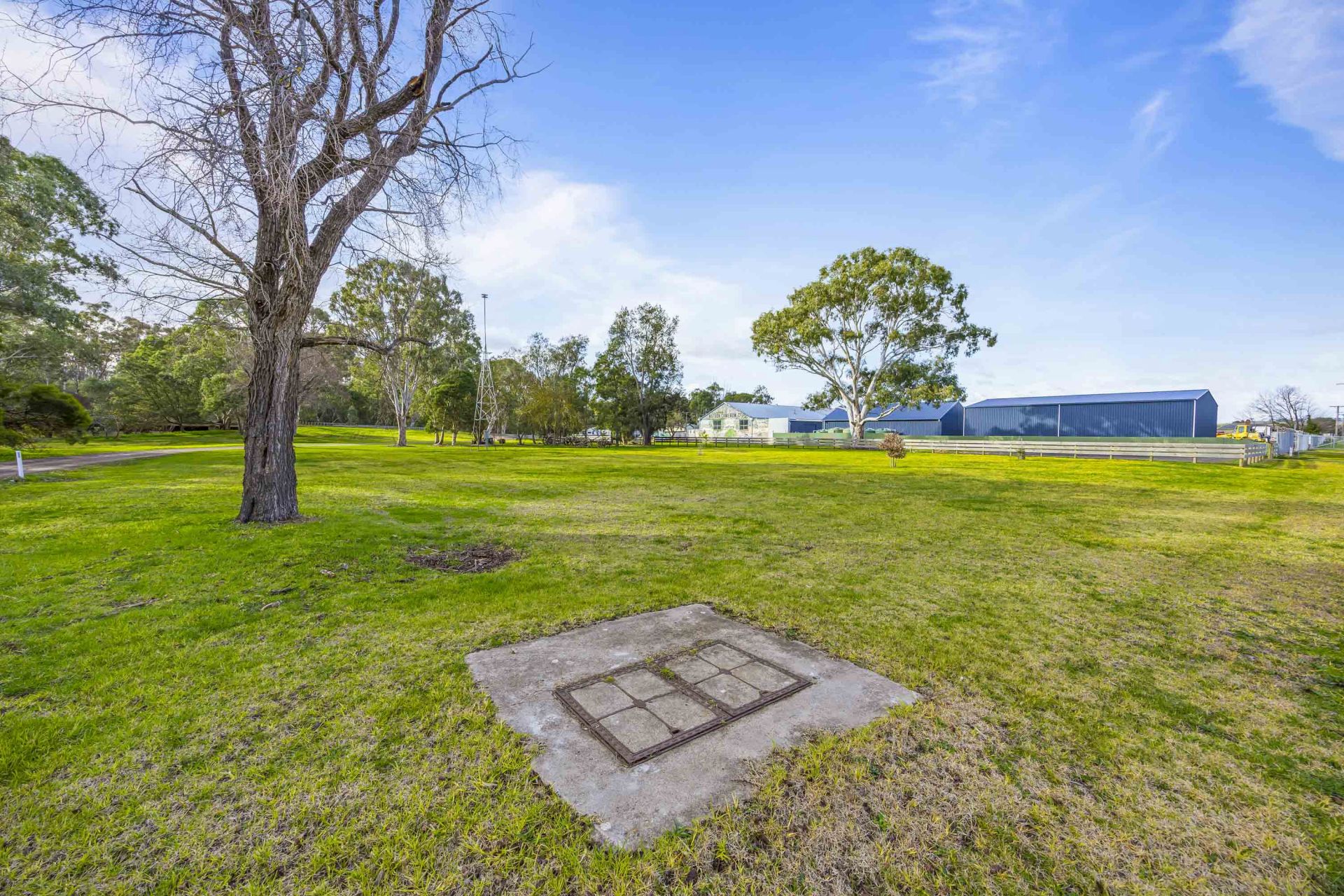 118 McLeod Street, Coleraine, Coleraine - Thumbnail 7