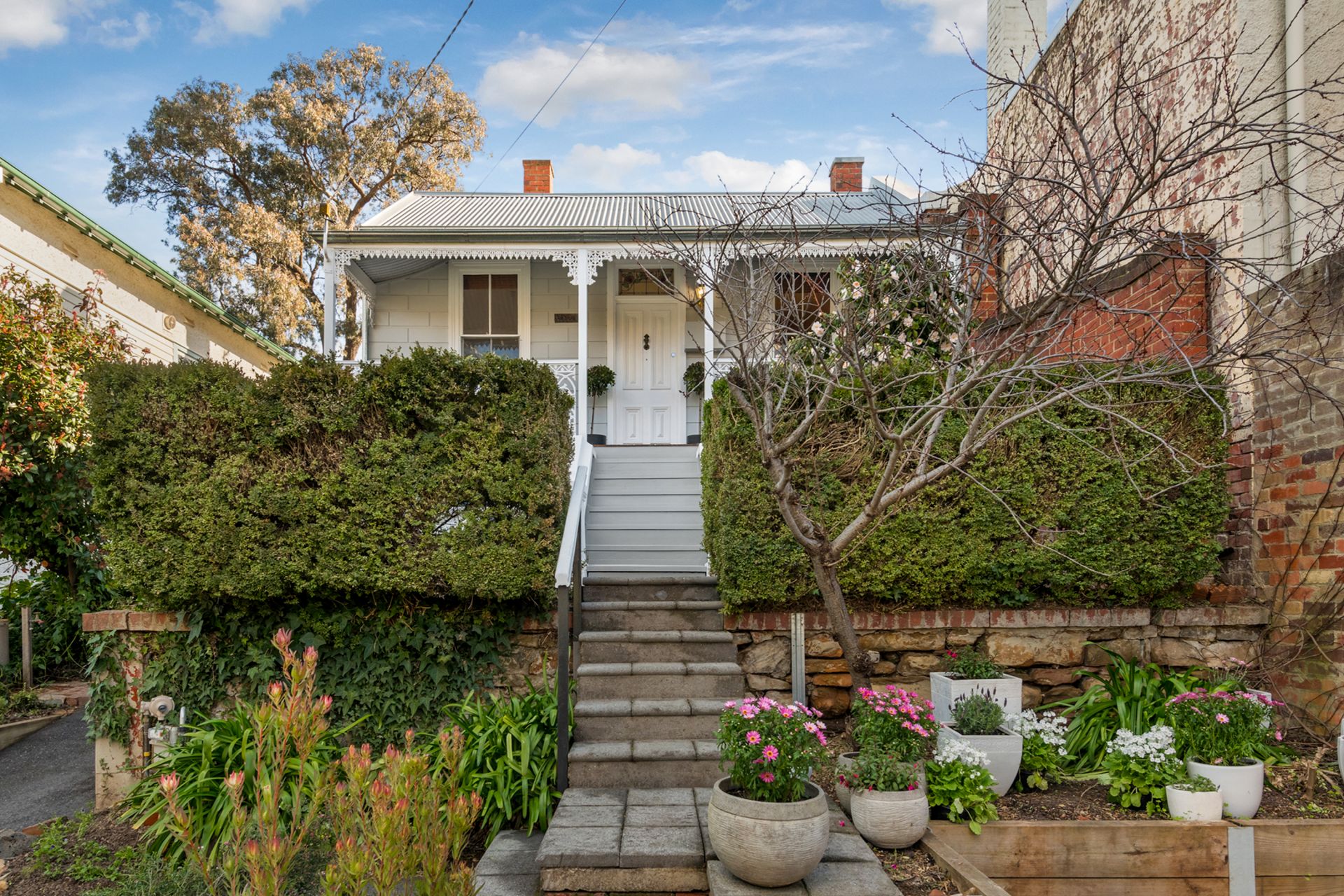 107 Wattle Street, Bendigo, Bendigo, Bendigo - Thumbnail 2
