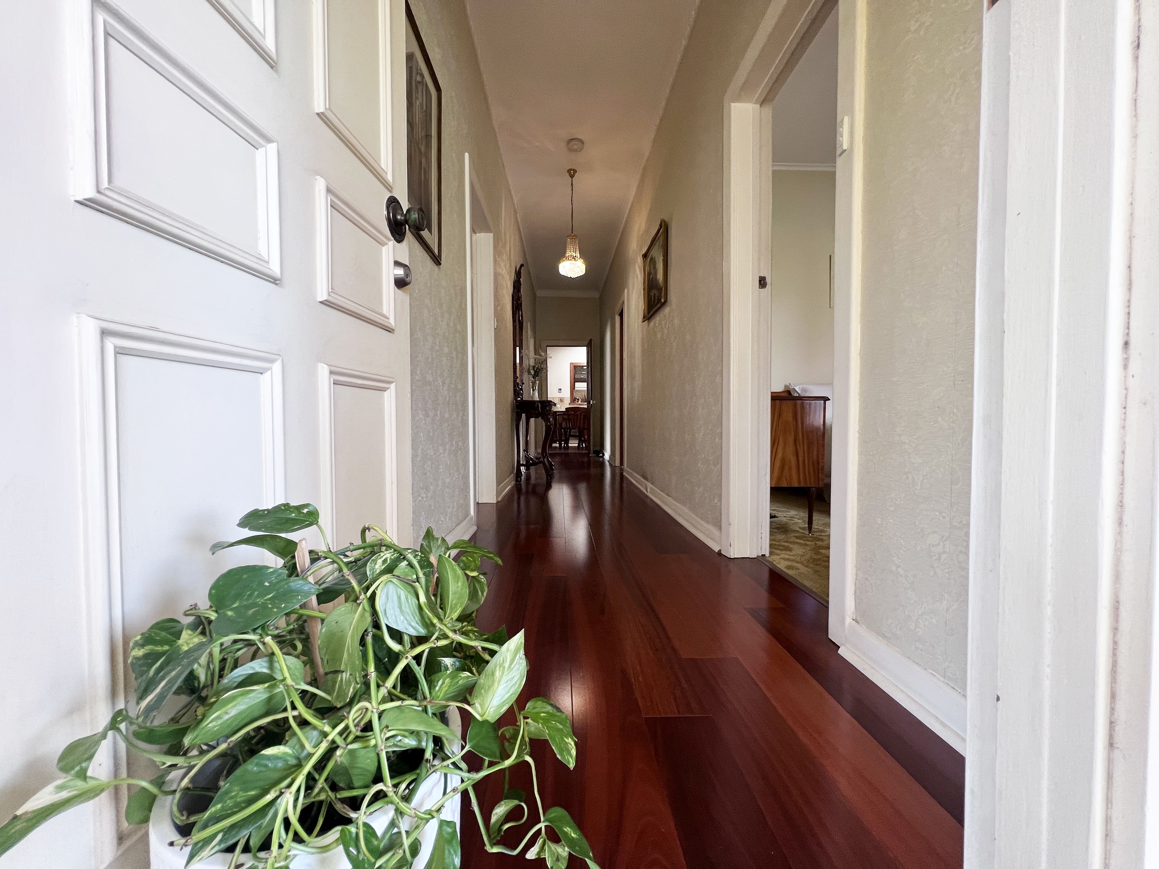 8 Torrens Ave, Lockleys SA 5032