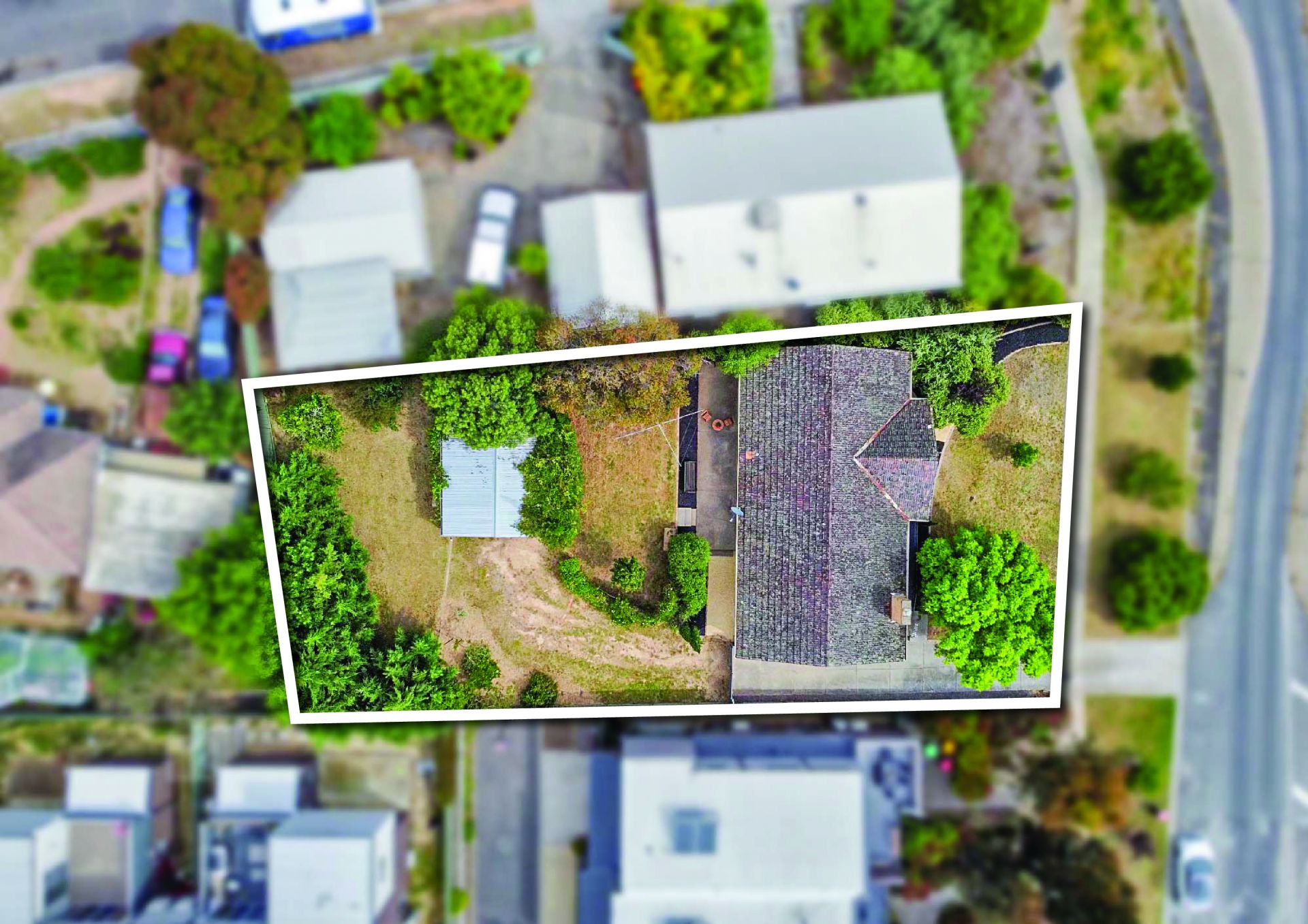 11 Wirth Street, Flora Hill, Flora Hill, Flora Hill - Thumbnail 3