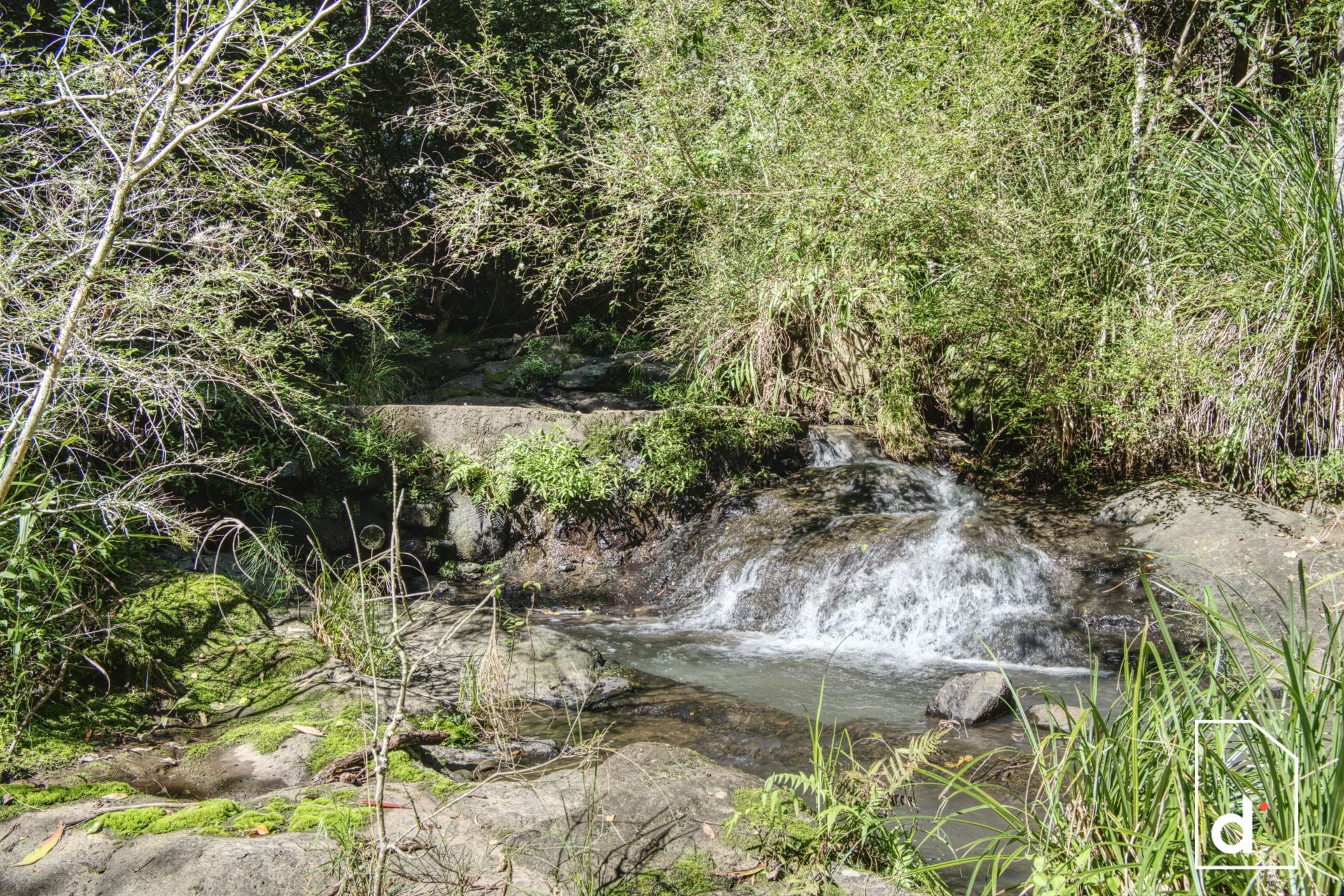 136 Wender Road, Collins Creek NSW