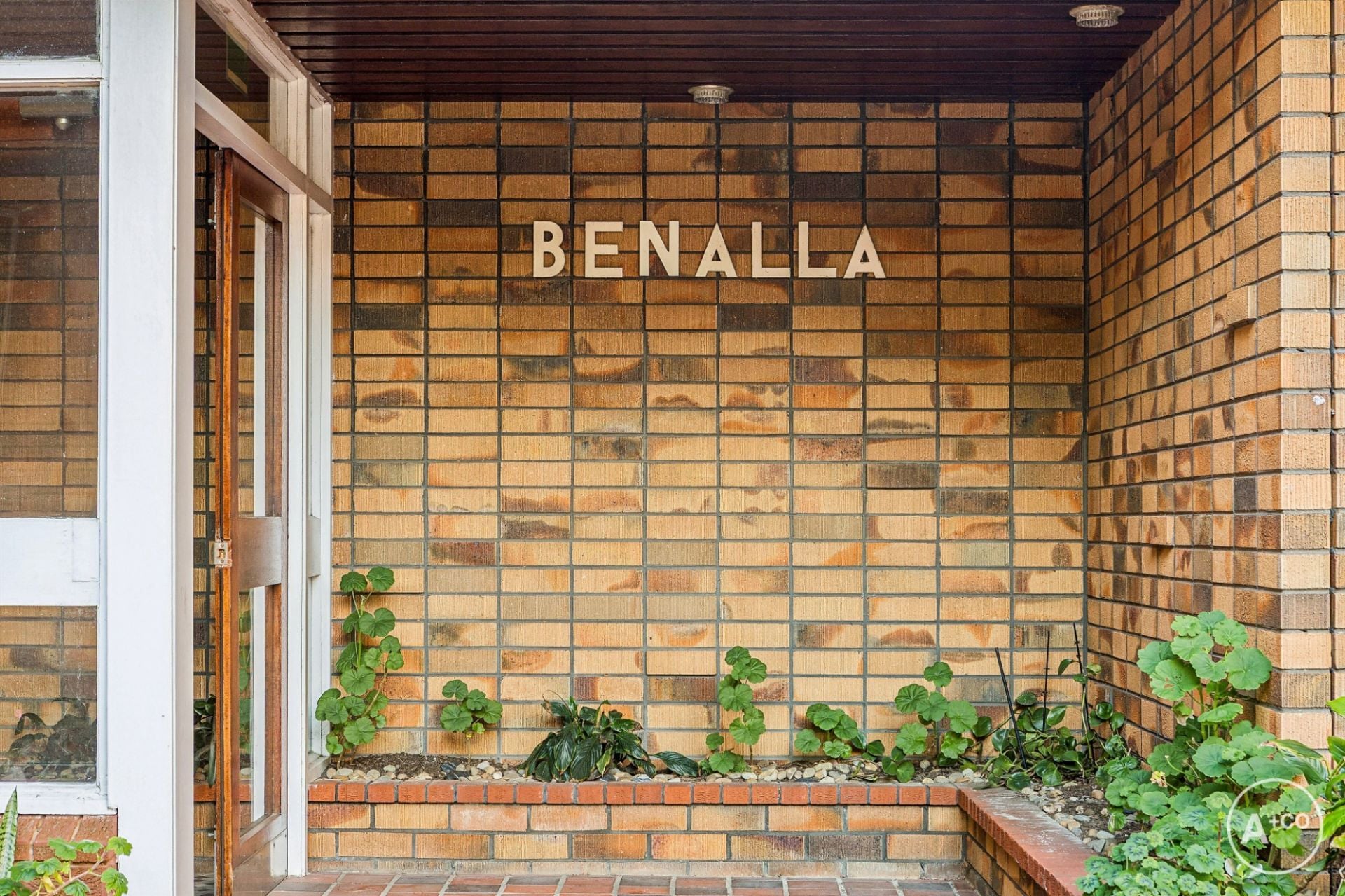 7/19 Pine Street, Randwick, Randwick - Image 1