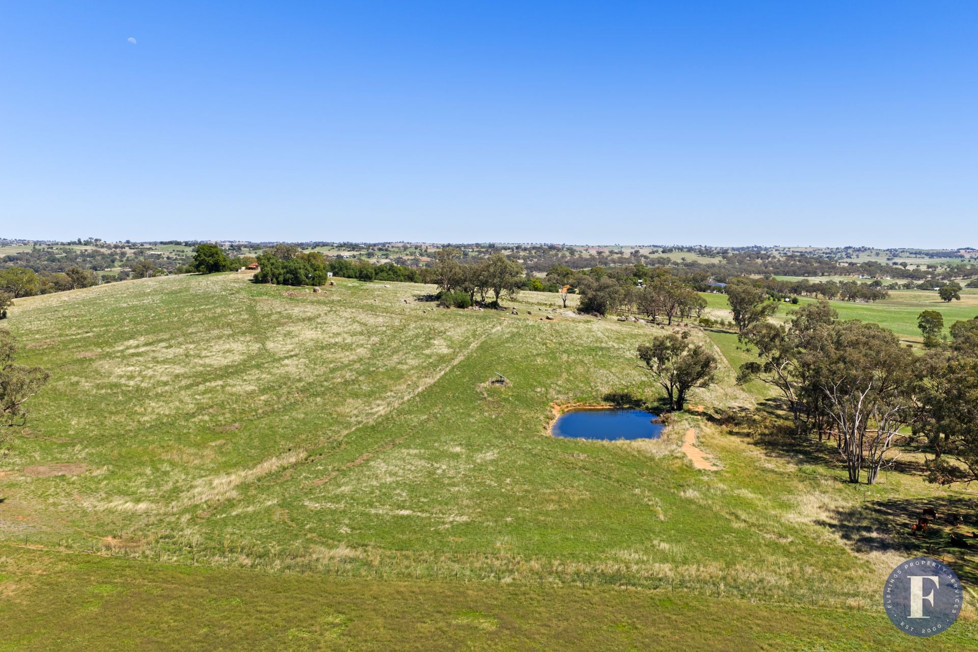 130 Allandale Road, Young NSW, Young - Thumbnail 3