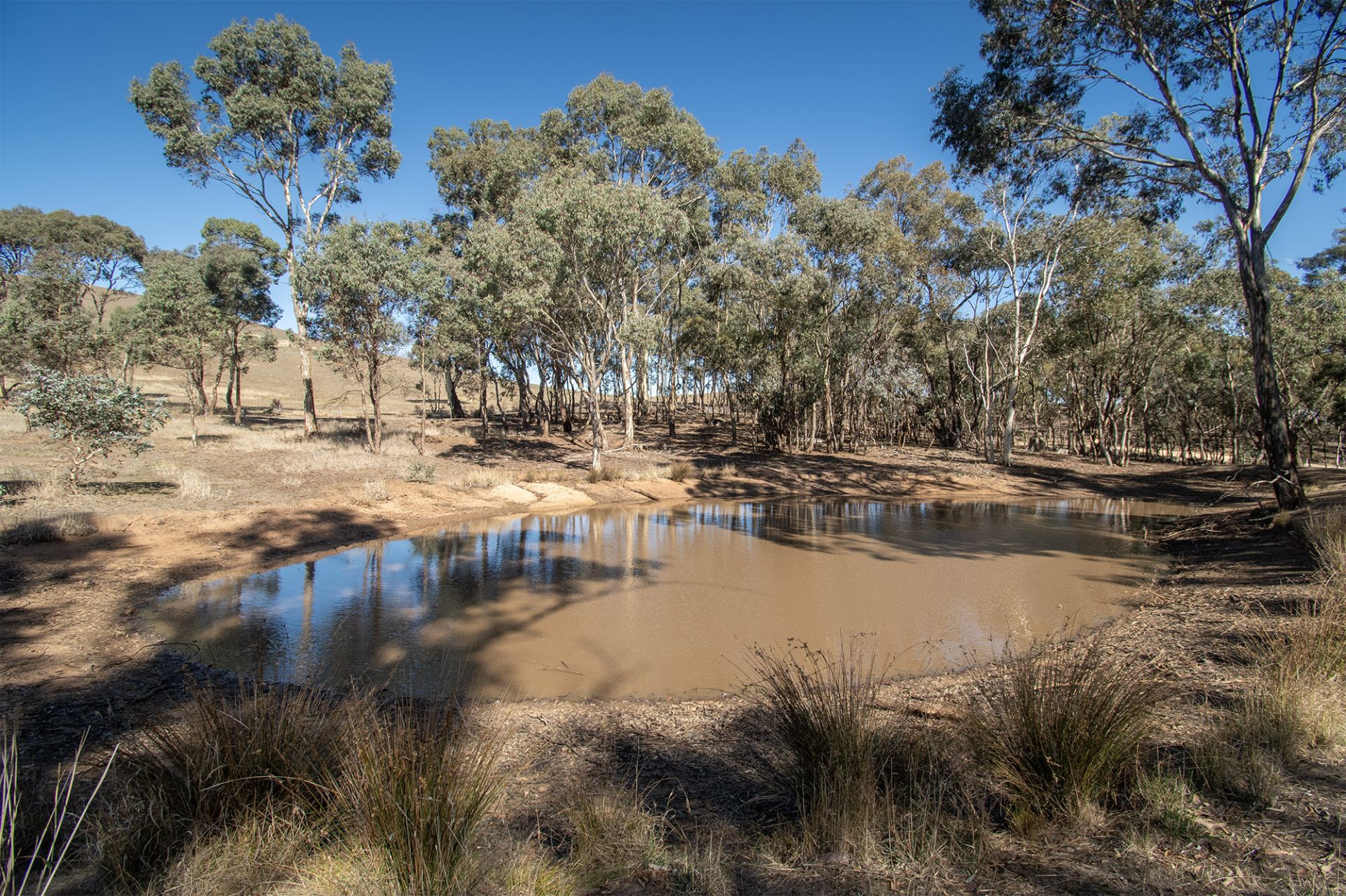 65 Hoopers Road, Mount Glasgow - Thumbnail 6