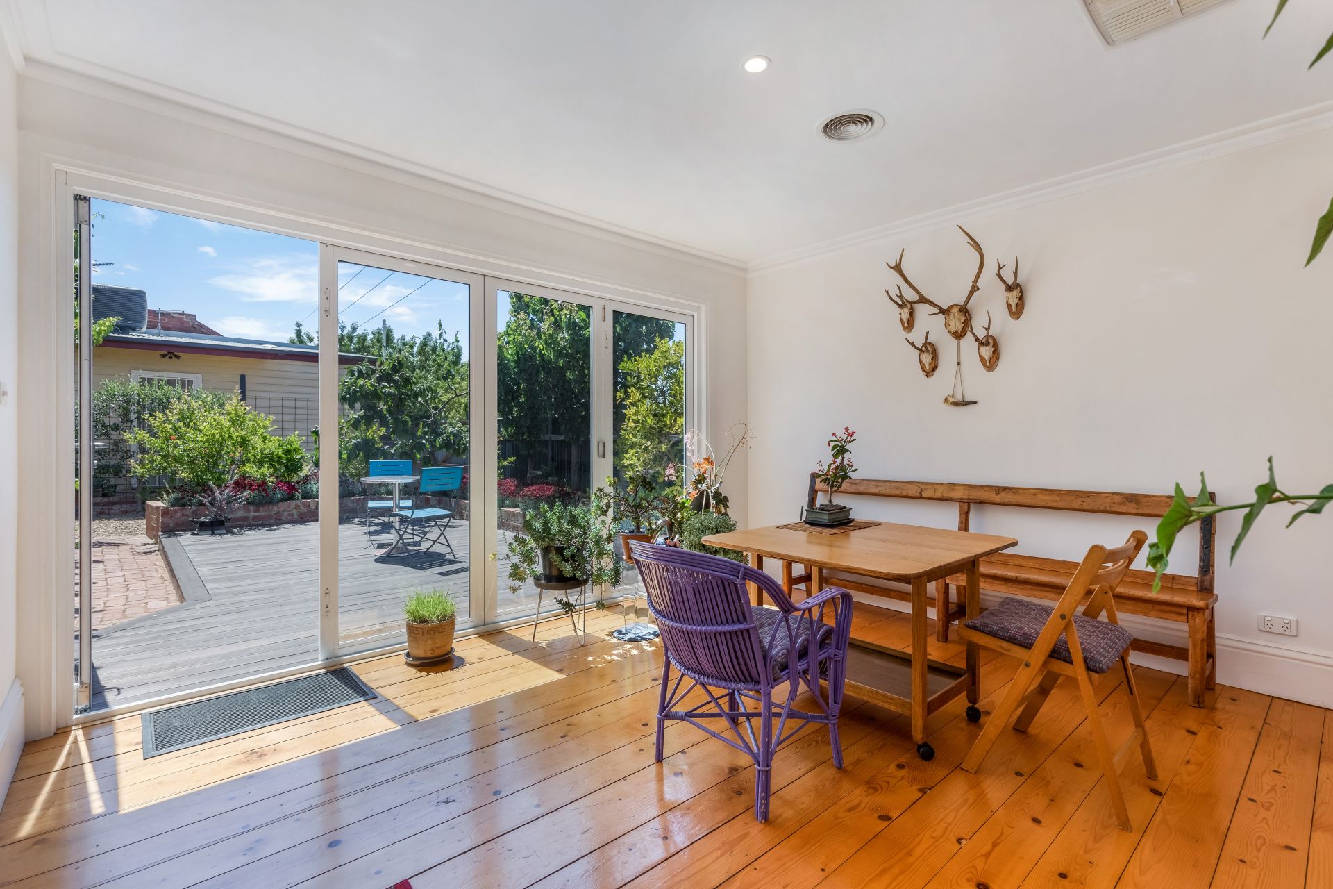 117 Williamson Street, Bendigo, Bendigo, Bendigo - Thumbnail 8