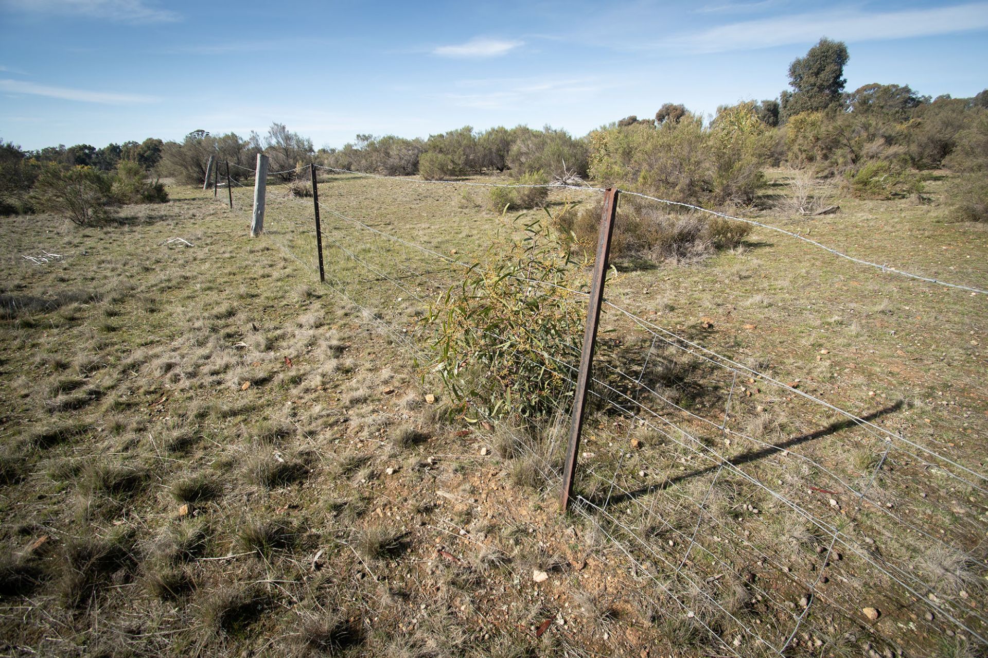 21 Gloury Road, Dunolly - Thumbnail 5