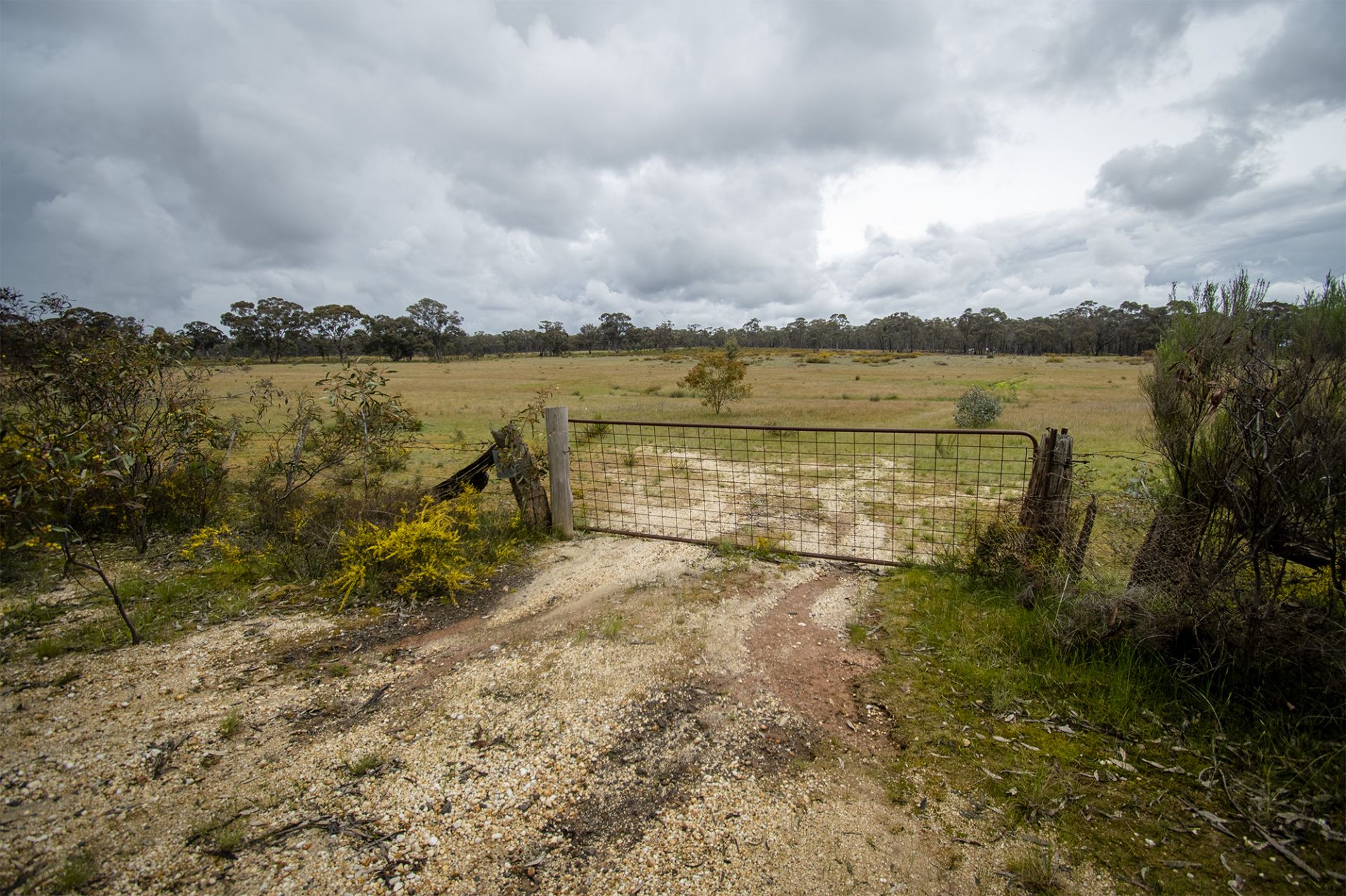 29/123 Logan Road, Alma - Thumbnail 4