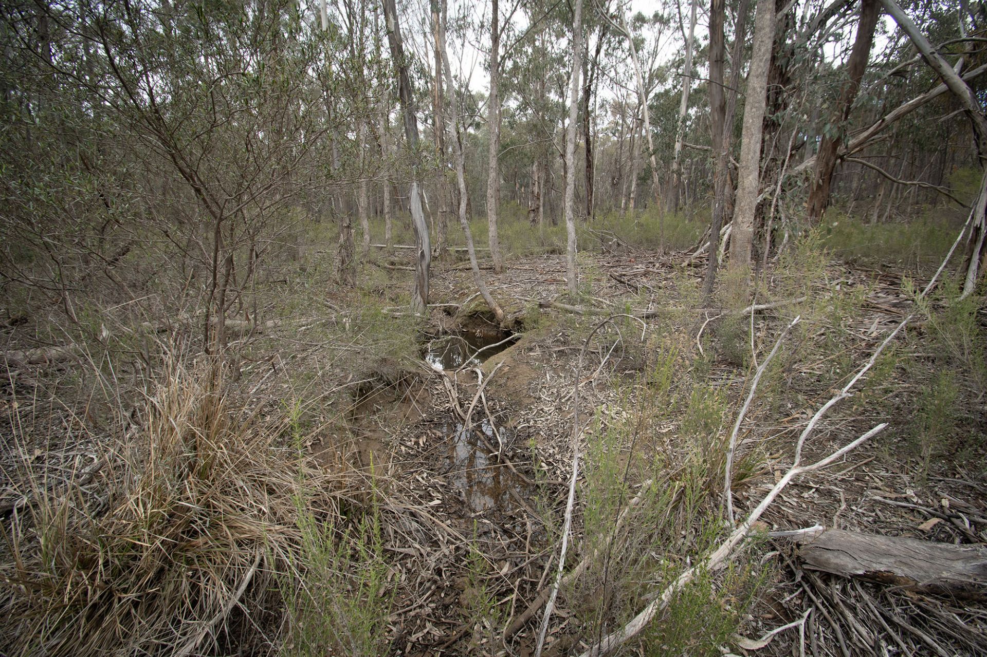 67B Stringybark Lane, Percydale - Thumbnail 8