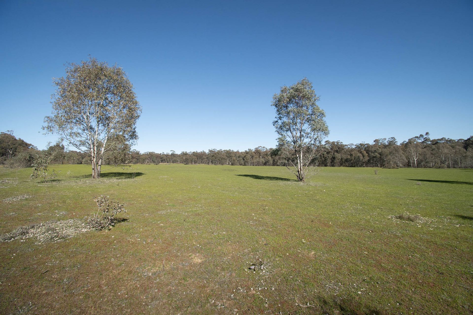 52 SEC 10/25 Long Bush Road, McIntyre - Thumbnail 4