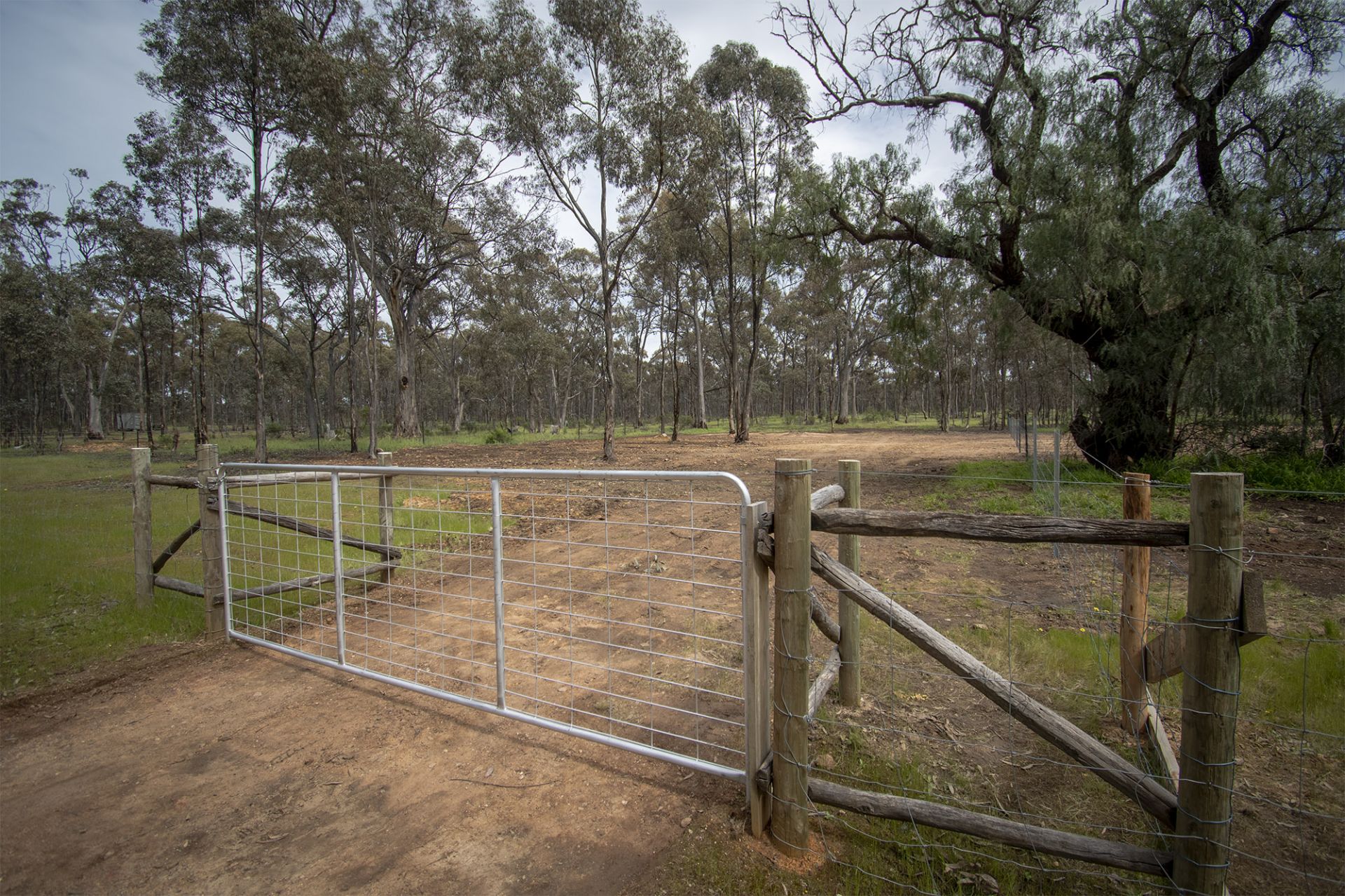 CA 10/100 Queens Birthday Mine Road Goldsborough - Via, Dunolly - Thumbnail 4