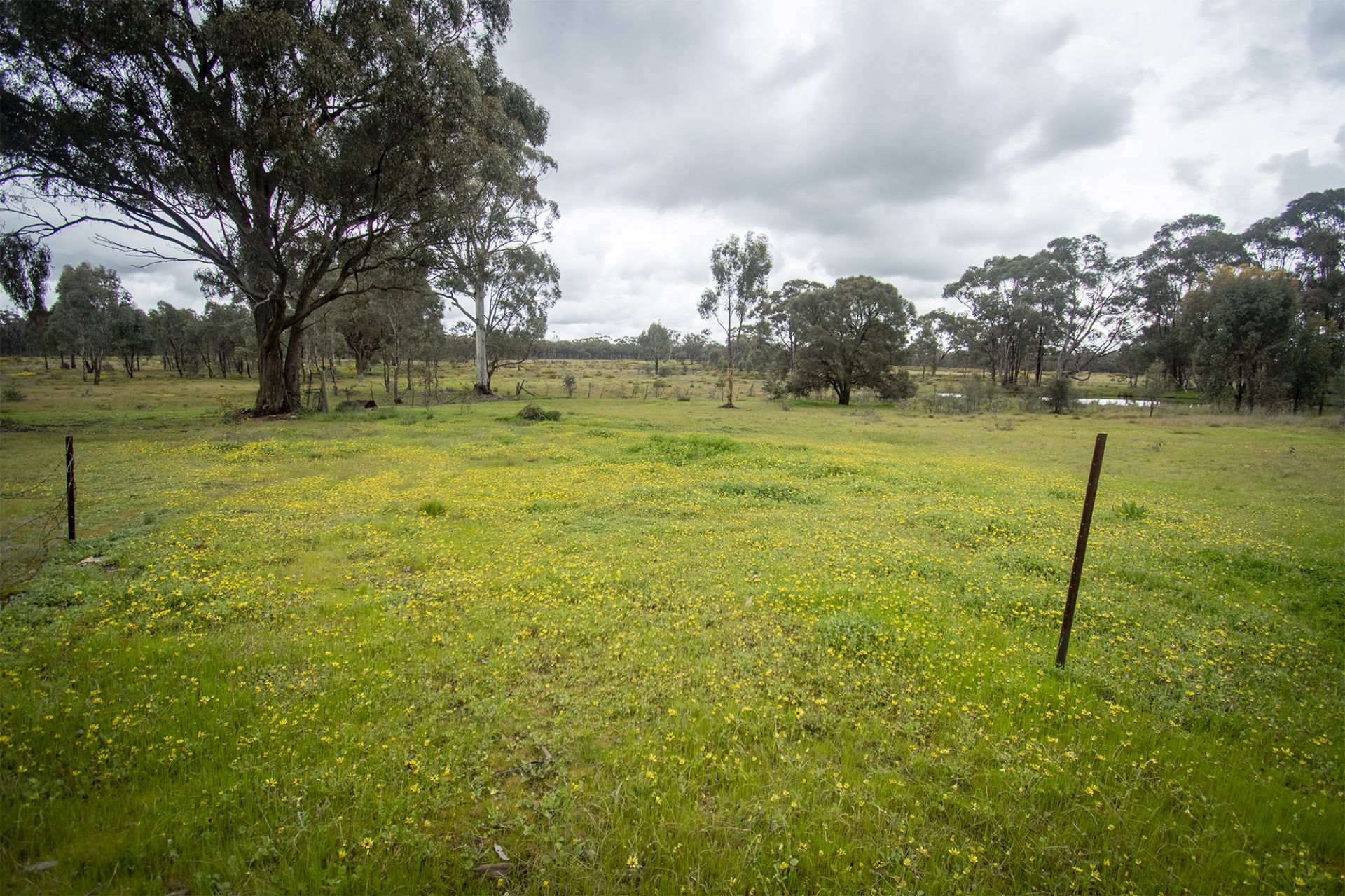 30/123 Logan Road, Alma - Thumbnail 8