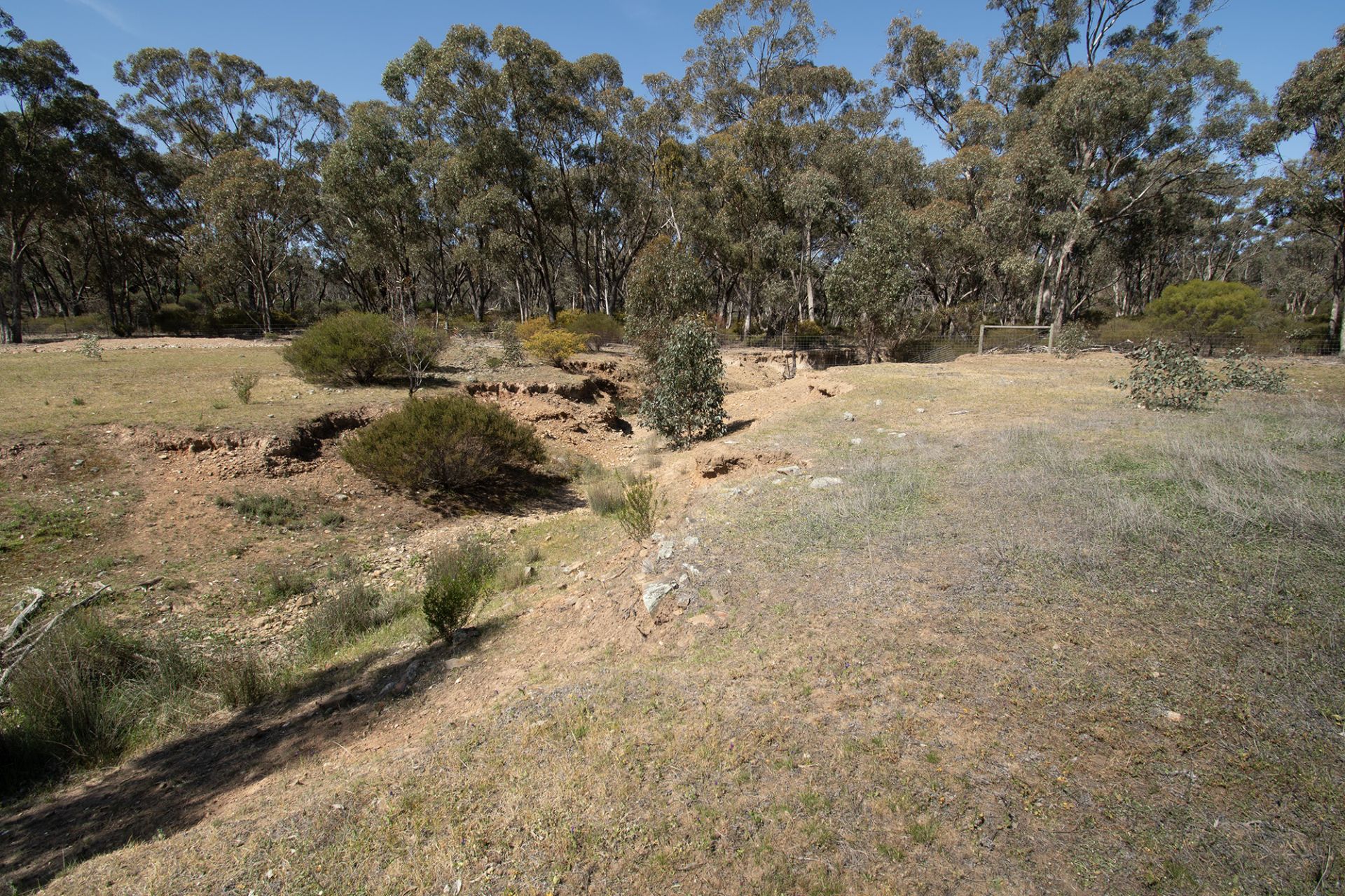 CA8 SECTIO Rheola-Arnold Road, Rheola - Thumbnail 8