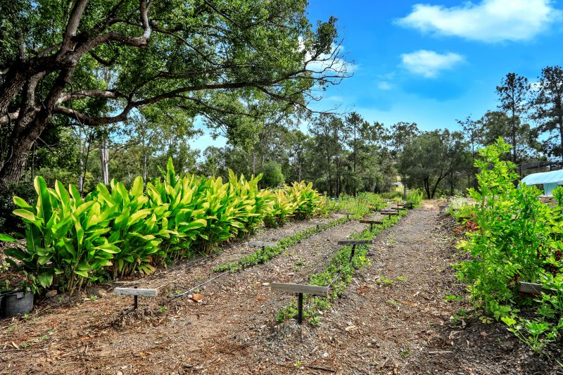 322 Old Creek Road, Apple Tree Creek, Apple Tree Creek - Thumbnail 4