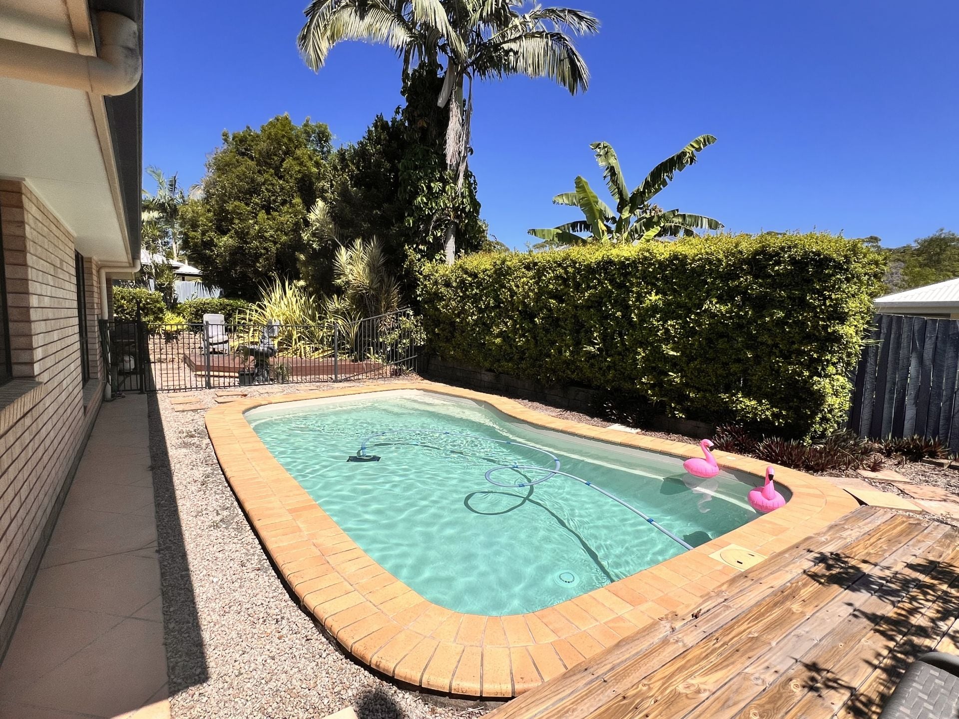 48 Old Orchard Drive Palmwoods QLD, Palmwoods - Thumbnail 5