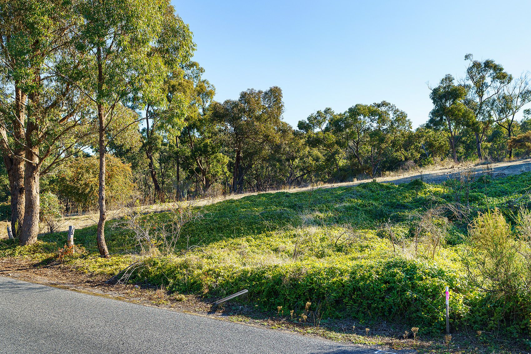 C/A 15/ Vaughan-Chewton Road, Chewton VIC 3451