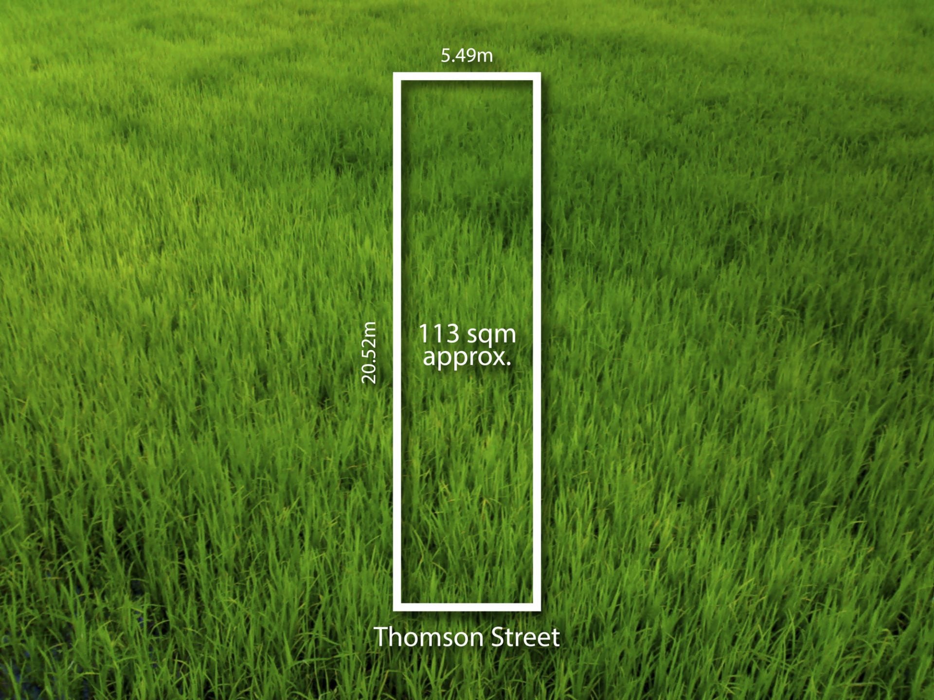 39 Thomson Street, South Melbourne, South Melbourne - Thumbnail 3