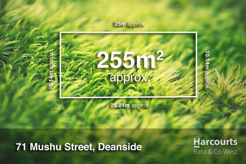 71 Mushu Street, Deanside