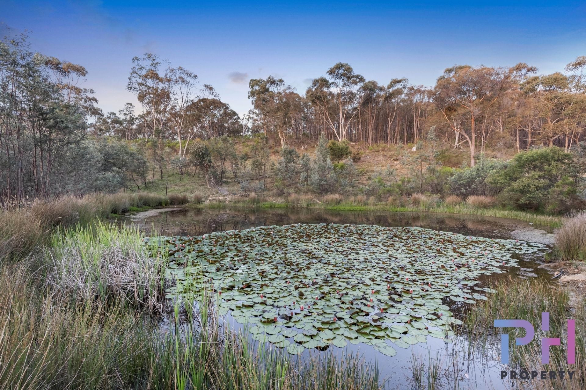 1271 Axe Creek Road Sedgwick VIC, Sedgwick - Thumbnail 5