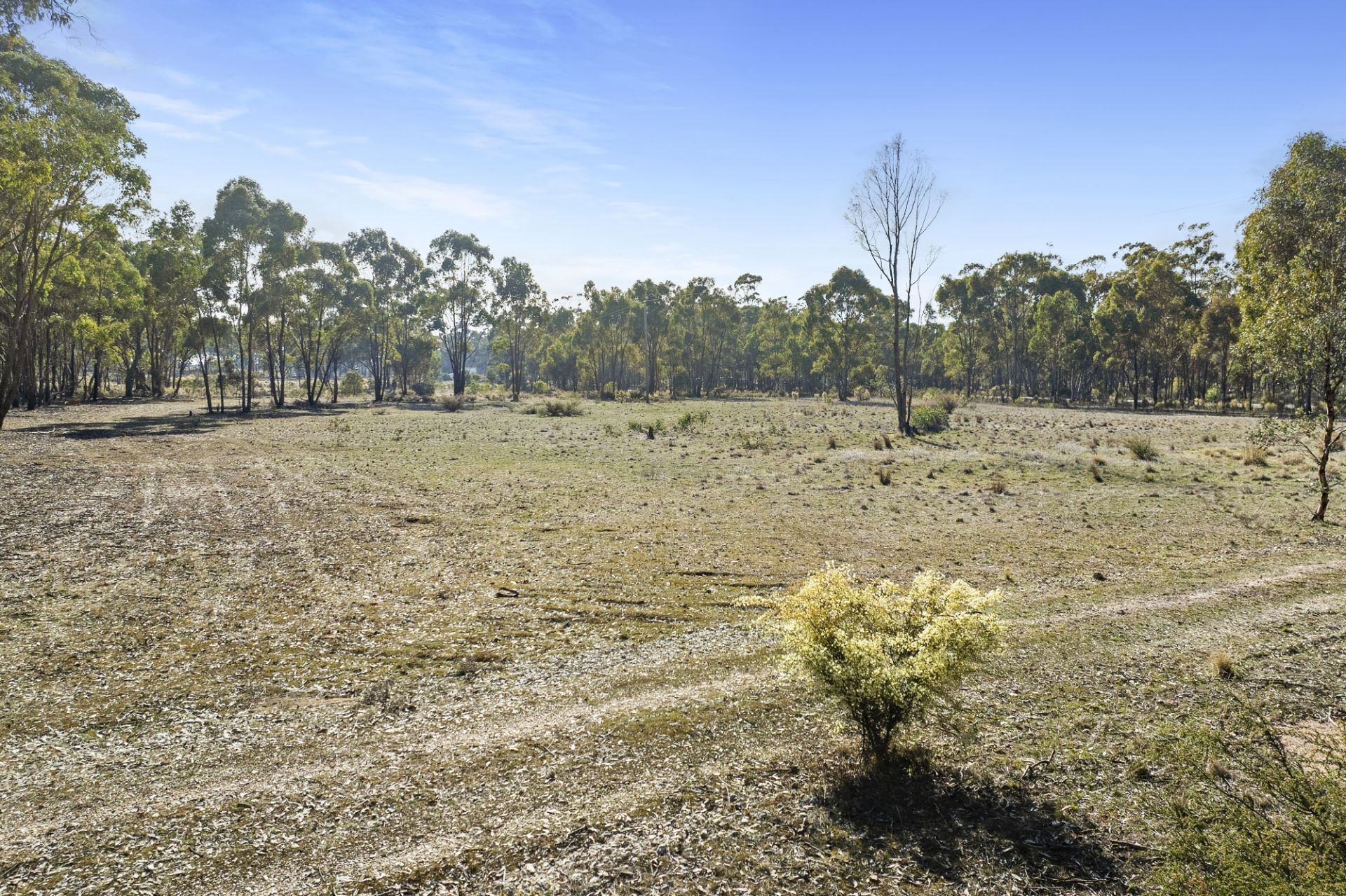 CA SEC 4C/PART OF 63 Maryborough-Dunolly Road, Havelock - Thumbnail 5