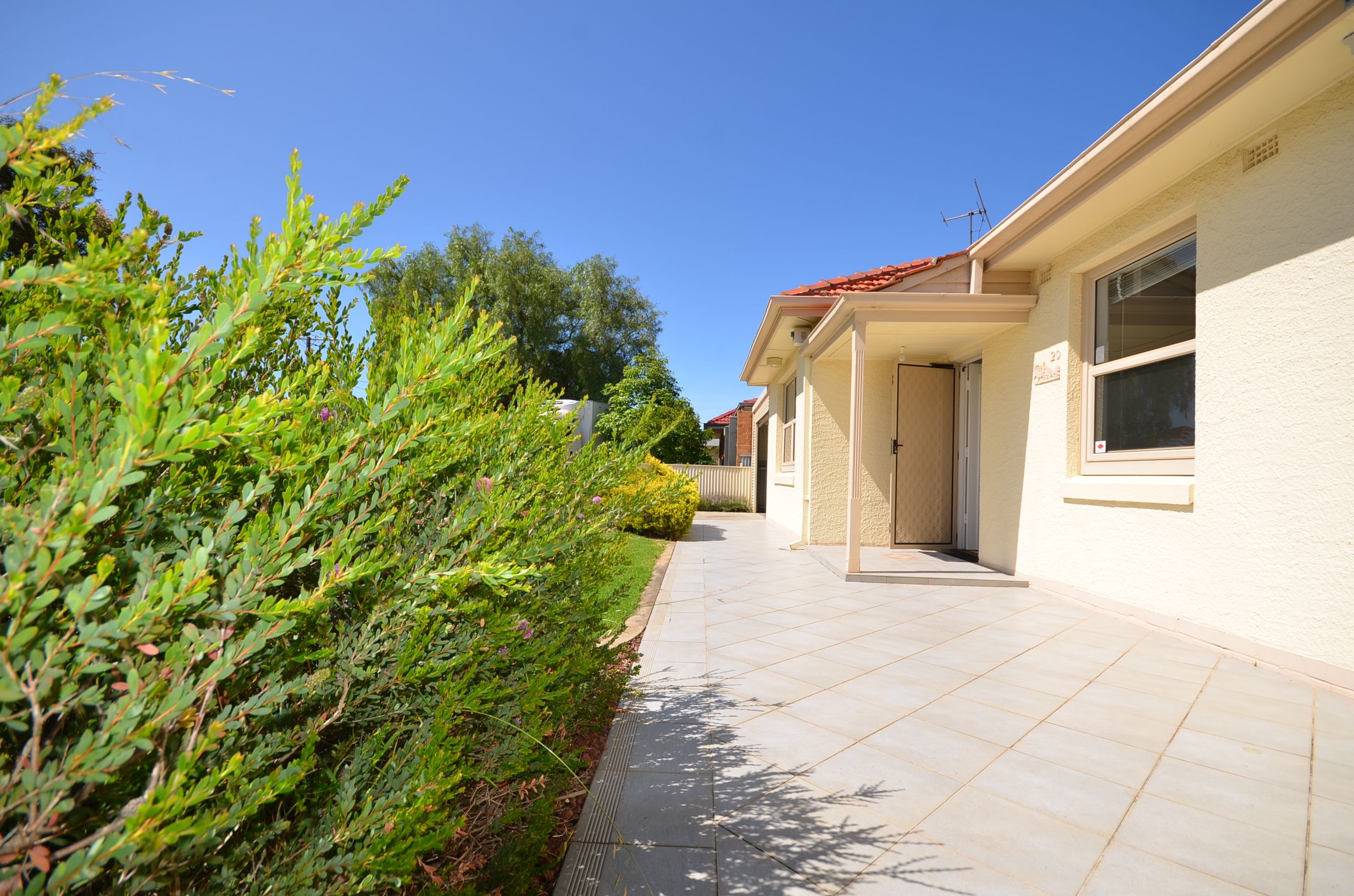 20 Gould Street, Flinders Park SA 5025
