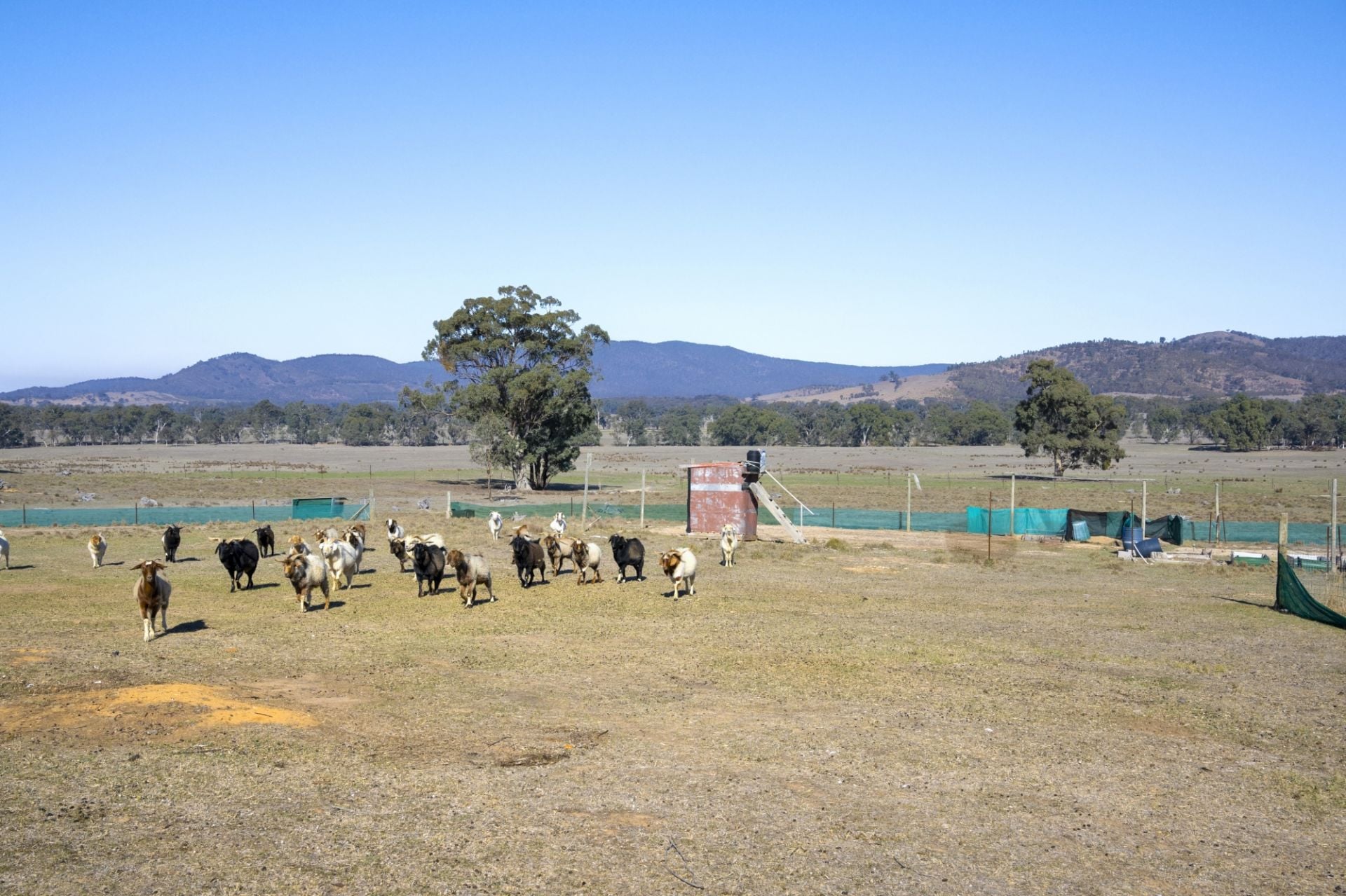 90D/ Bundaleer Road, Moonambel - Thumbnail 5