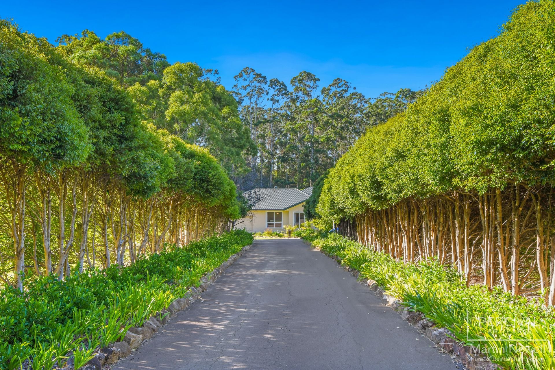 16 Moncrieff Close King Creek NSW, King Creek - Thumbnail 4