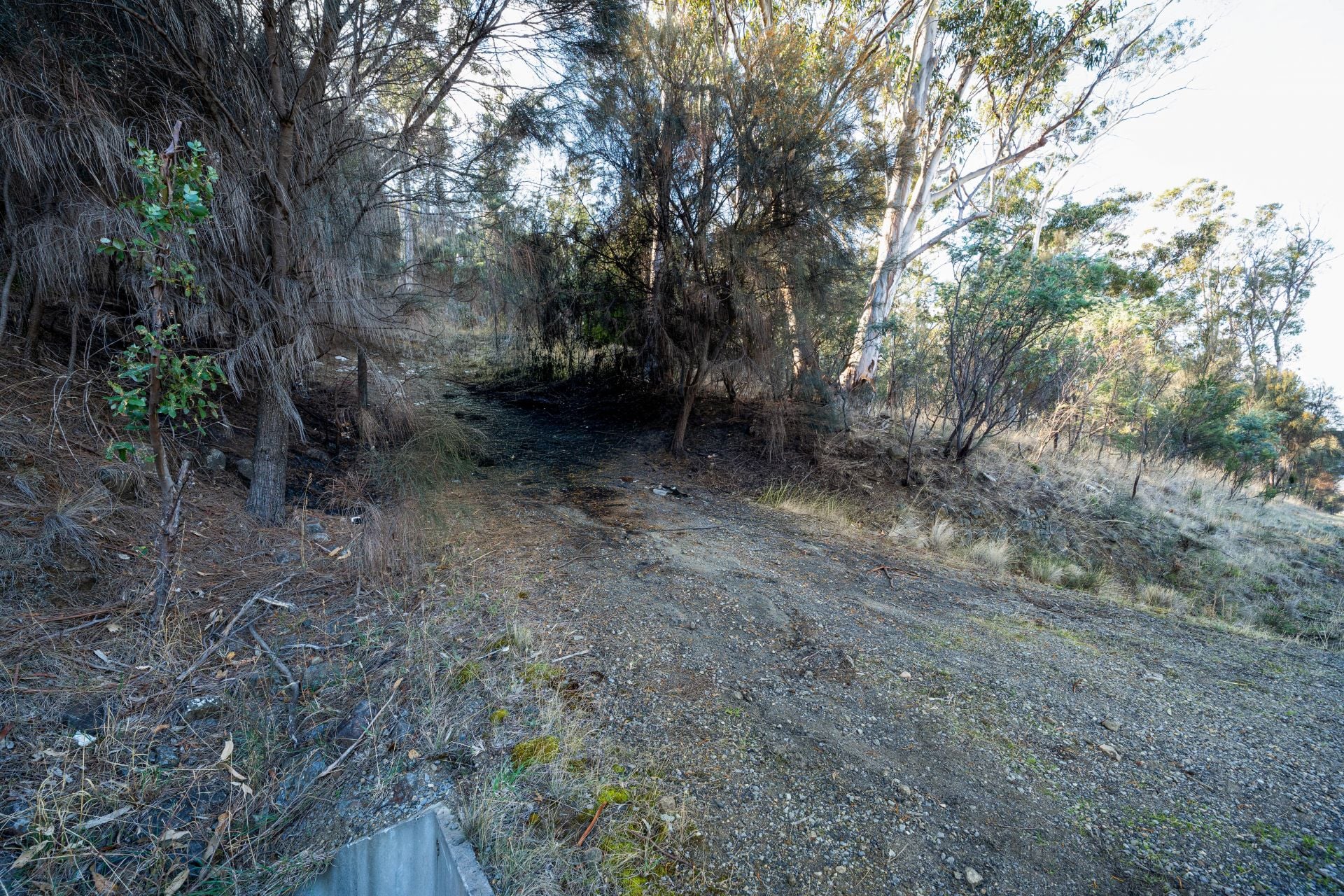 124 Church Road Dromedary TAS, Dromedary - Thumbnail 5
