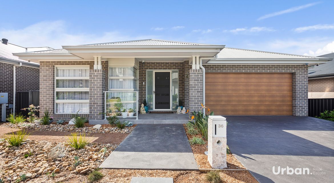 Albion Park 50. Holroyd Street