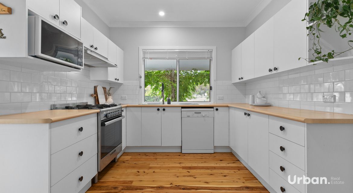 Bellbird 89b Edden Street