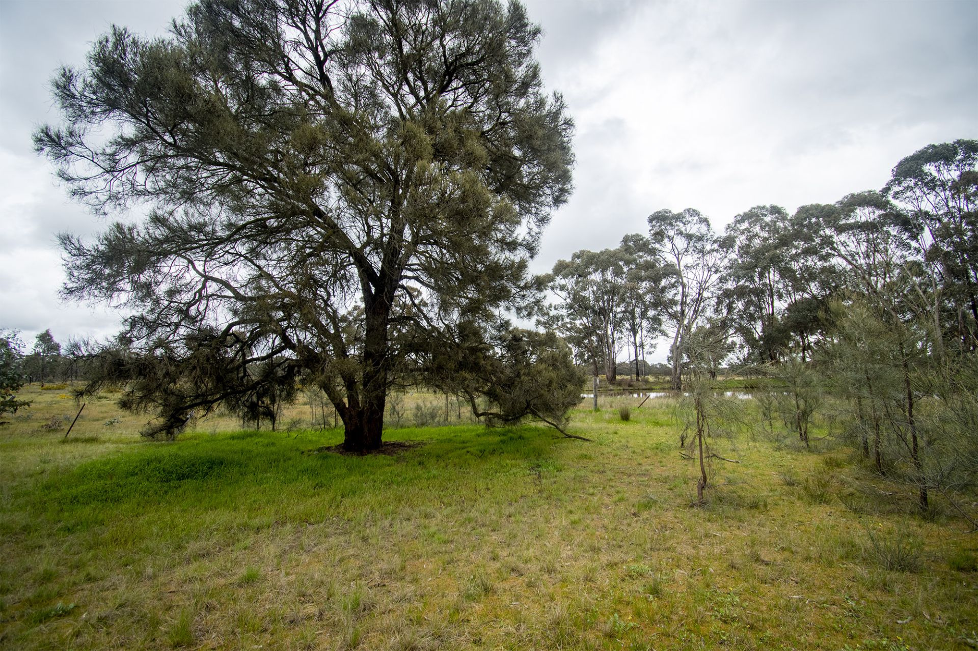 30/123 Logan Road, Alma - Thumbnail 7