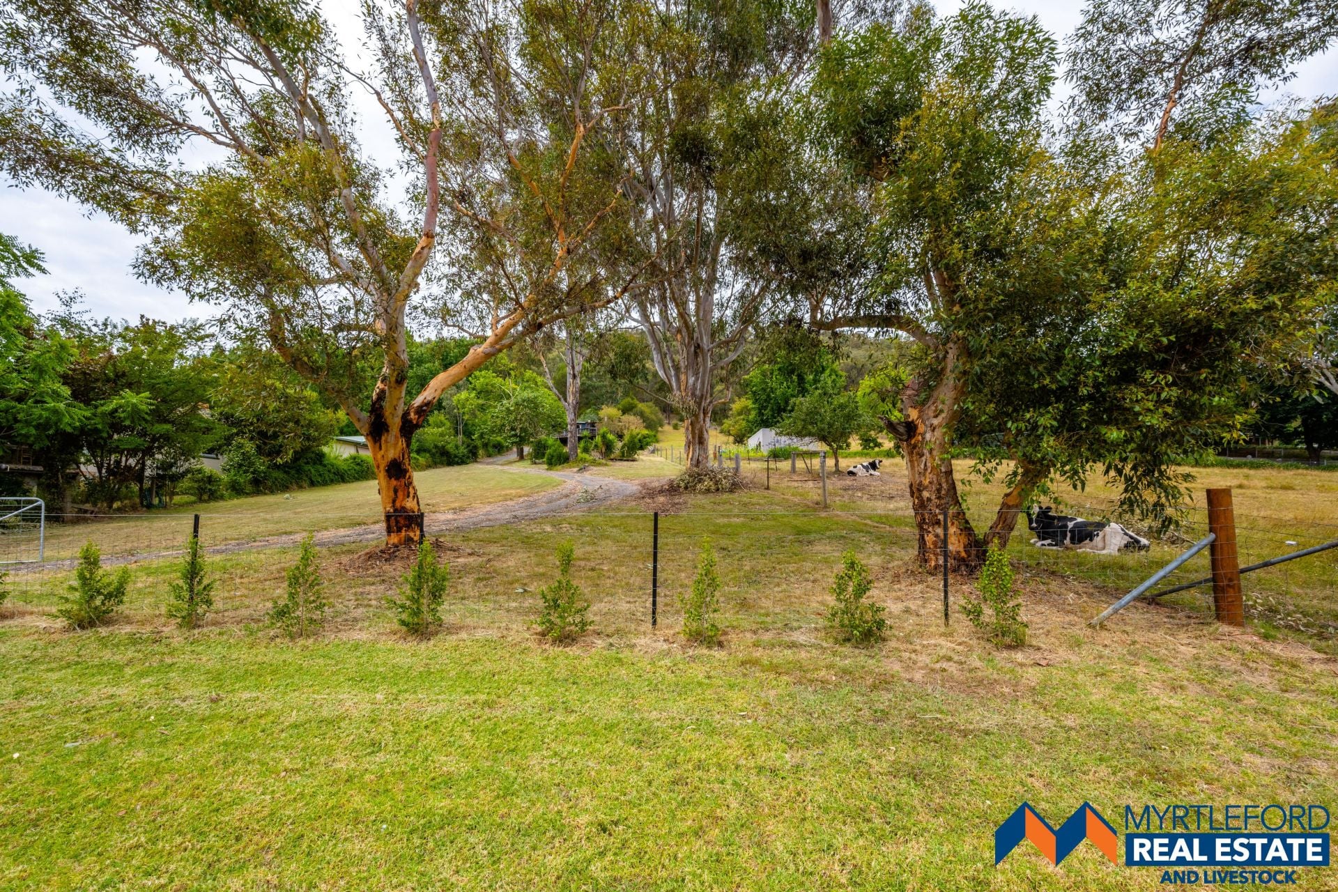 323 Buffalo River Road, MYRTLEFORD, Myrtleford - Thumbnail 5