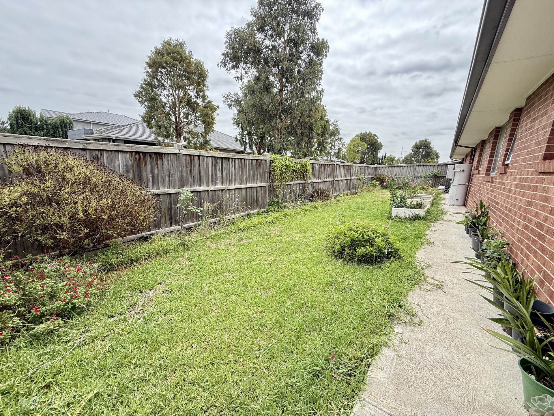 Spacious Family Home on Approx. 520m² with High Ceilings & Expansive Western Garden