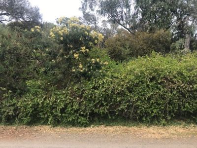 3 Margaret Avenue, Venus Bay VIC, Venus Bay - Thumbnail 7