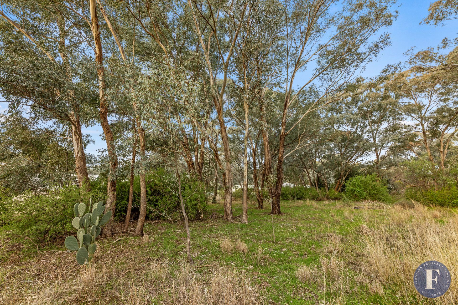 27 Lachlan Street, Koorawatha NSW, Koorawatha - Thumbnail 6
