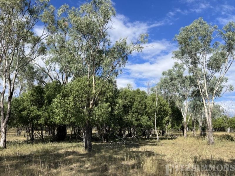 80 Coolibah Way, Dalby, Dalby - Image 1