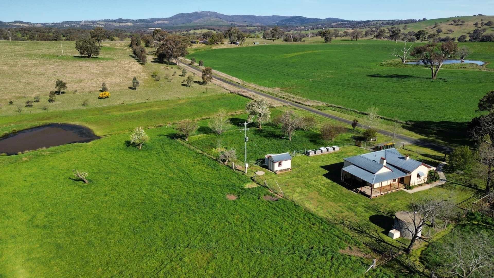 680 Boree Lane Orange NSW, Orange - Thumbnail 3