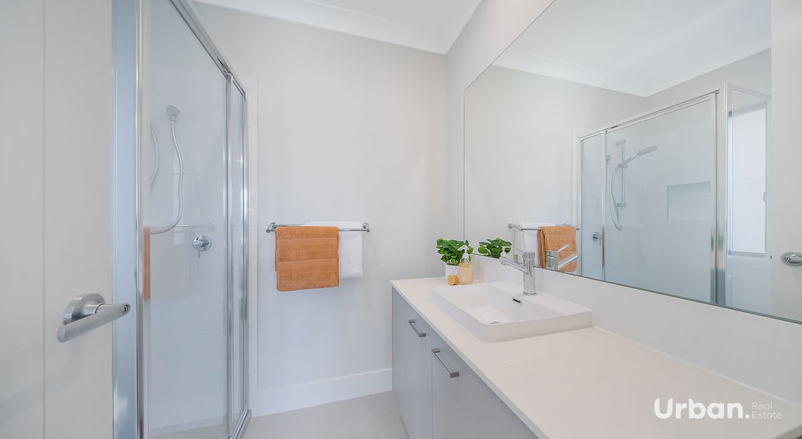 Bellbird 68 Abbotsford Street