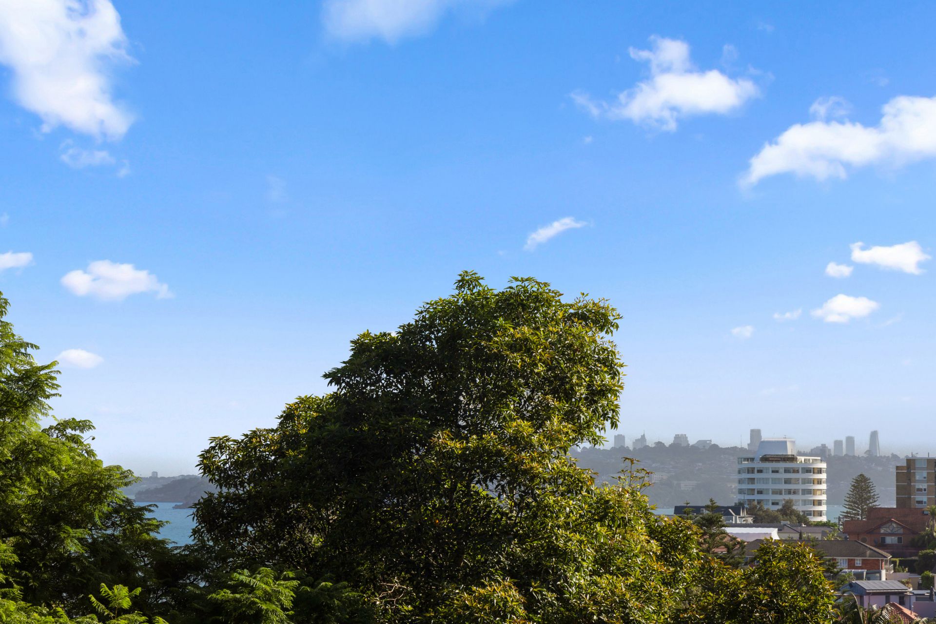15/36 Osborne Road, Manly, Manly - Thumbnail 8