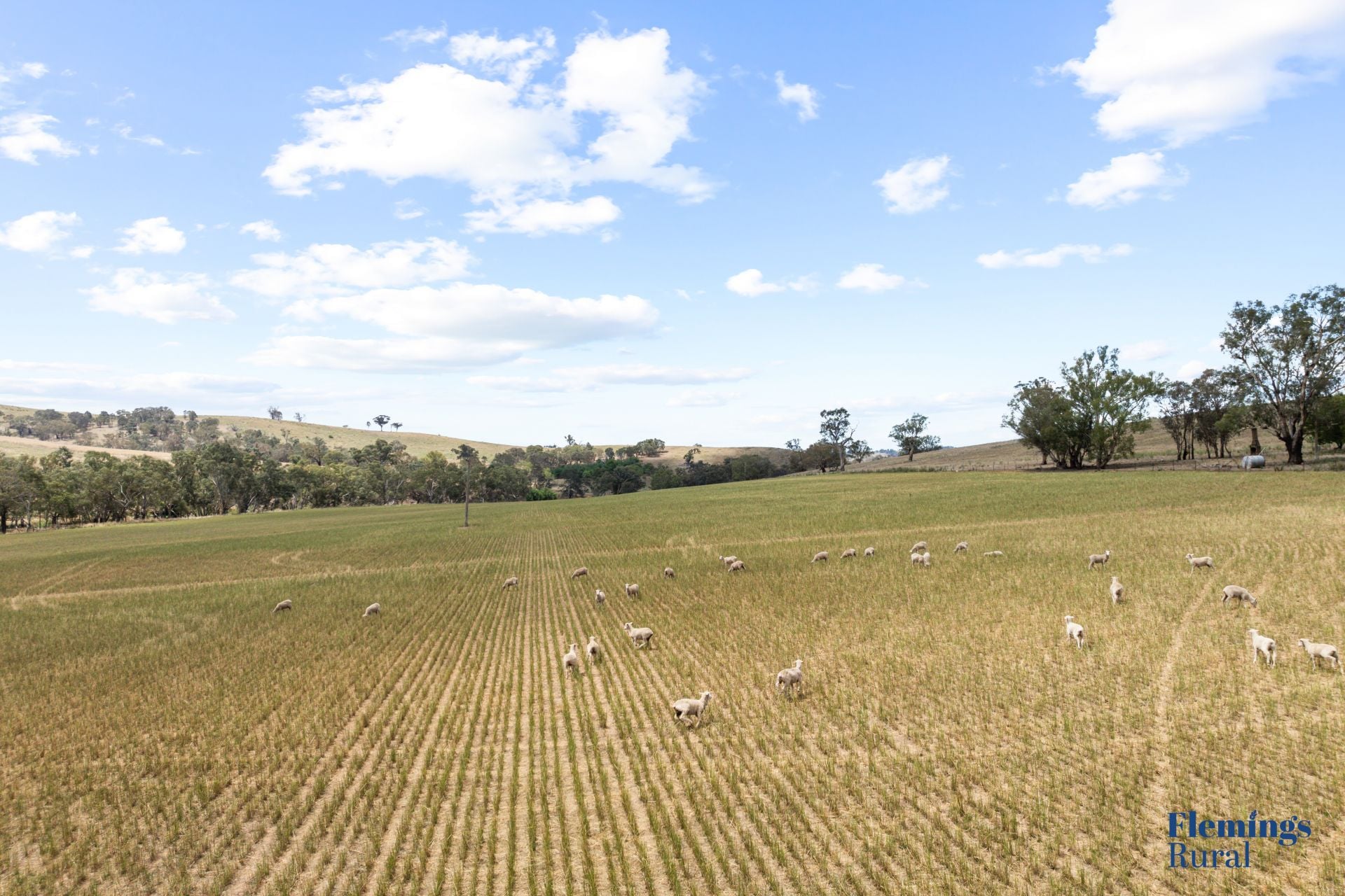 383 Roaring Rock Road, Frogmore NSW, Frogmore - Thumbnail 4
