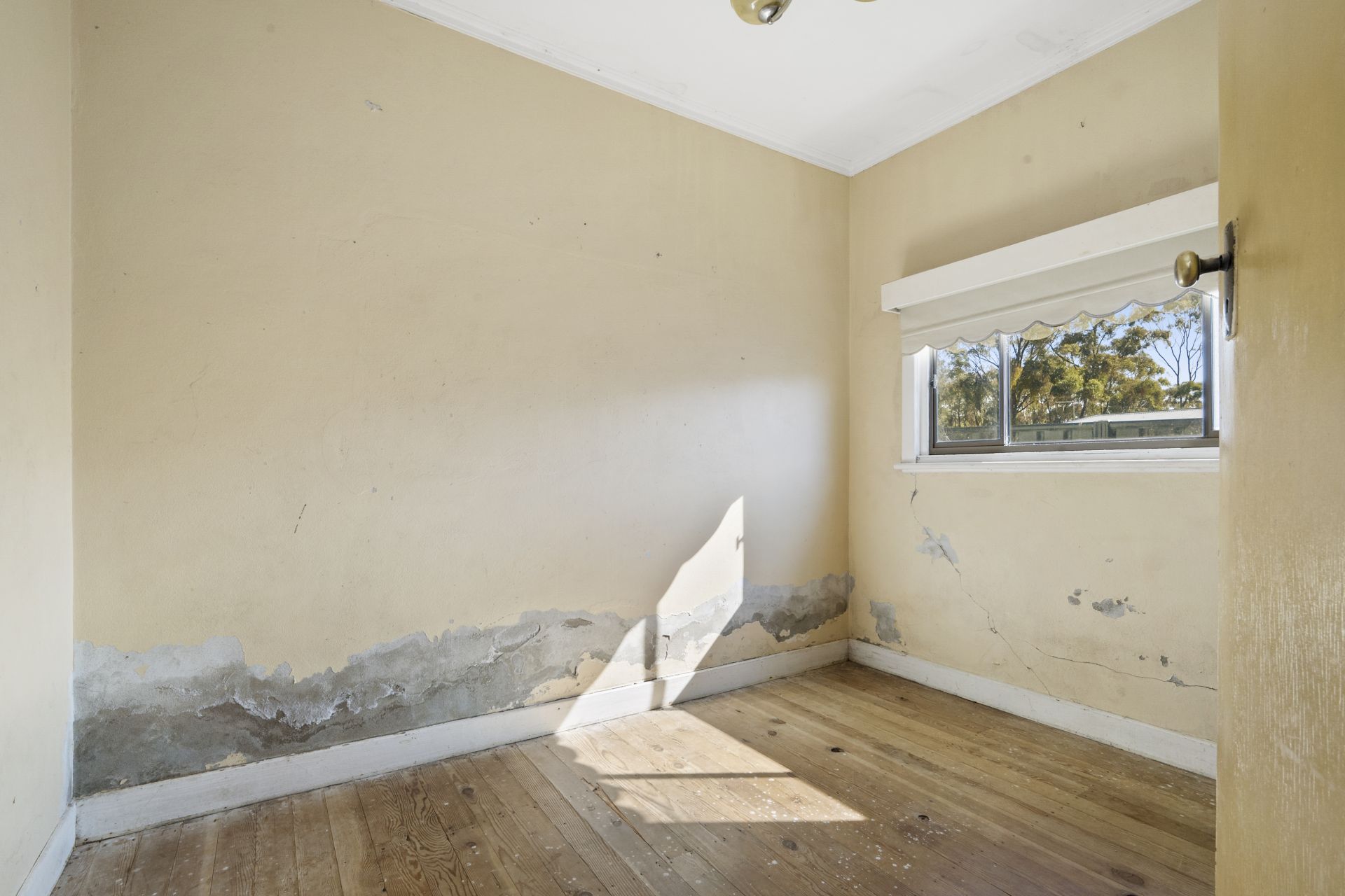 12B Brown Street, Maryborough - Thumbnail 6