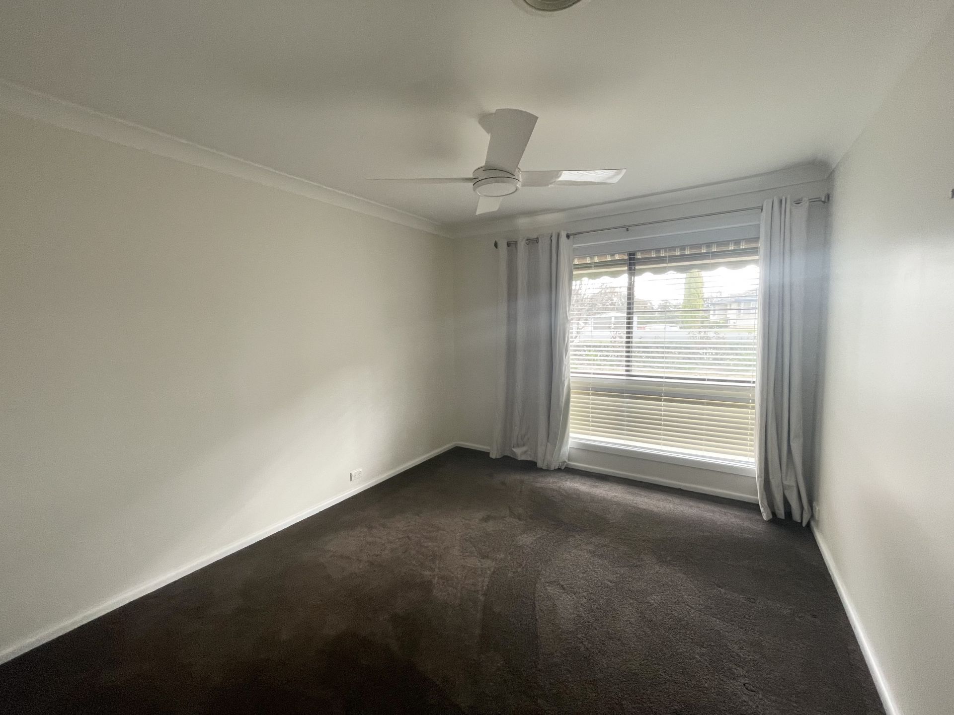12 Back Creek Road, Young NSW, Young - Thumbnail 6