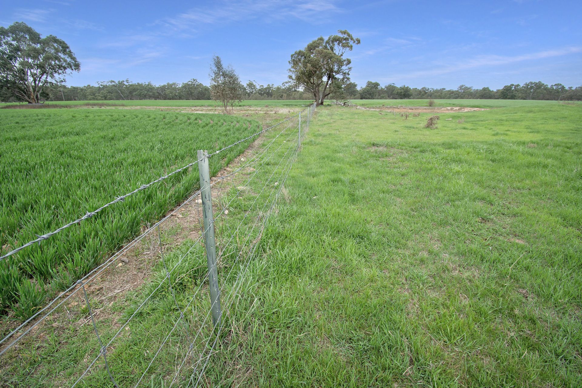 174 Timor Bromley Road, Timor - Thumbnail 7