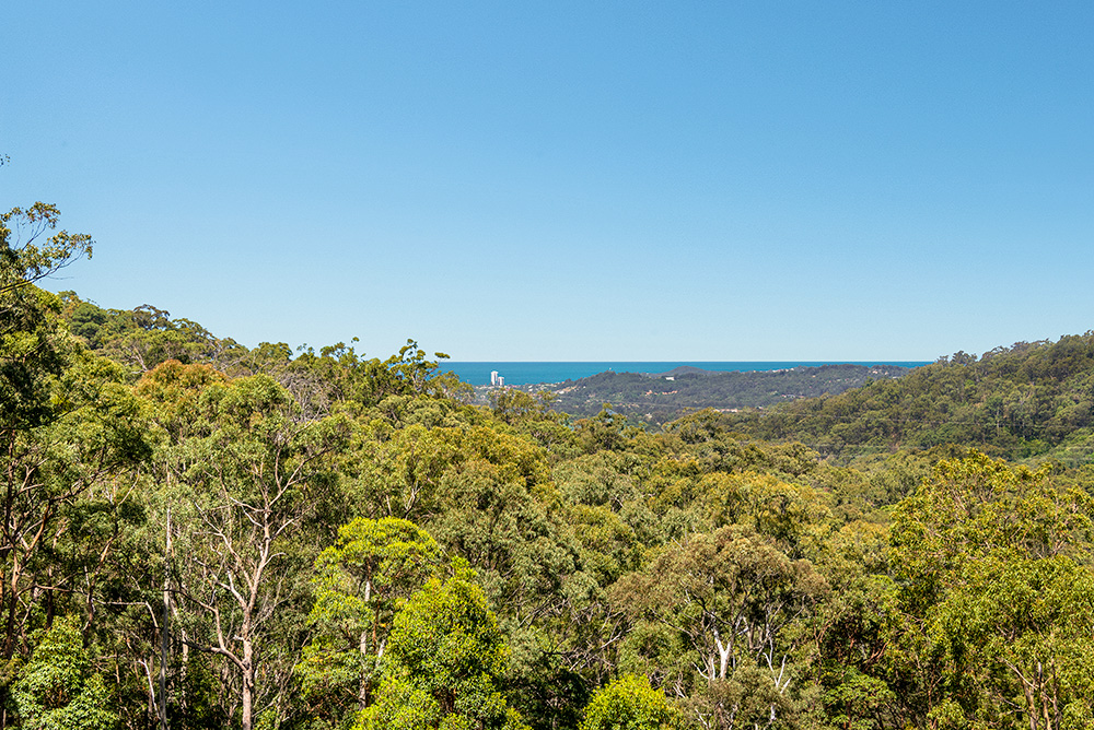 Leiilani, Danny & Matthew