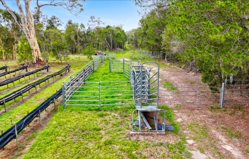 197 Stephan Road, Goomboorian For Sale by Farmbuy.com - image 28