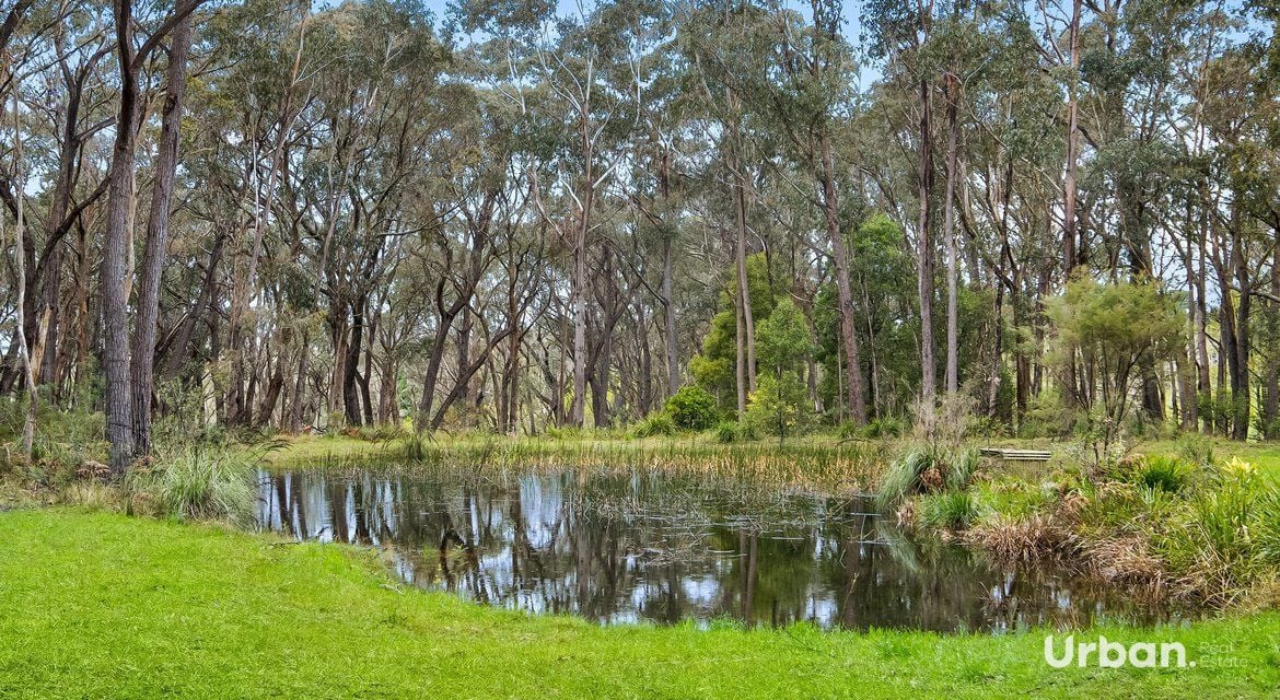 Avoca 123 Walkers Lane