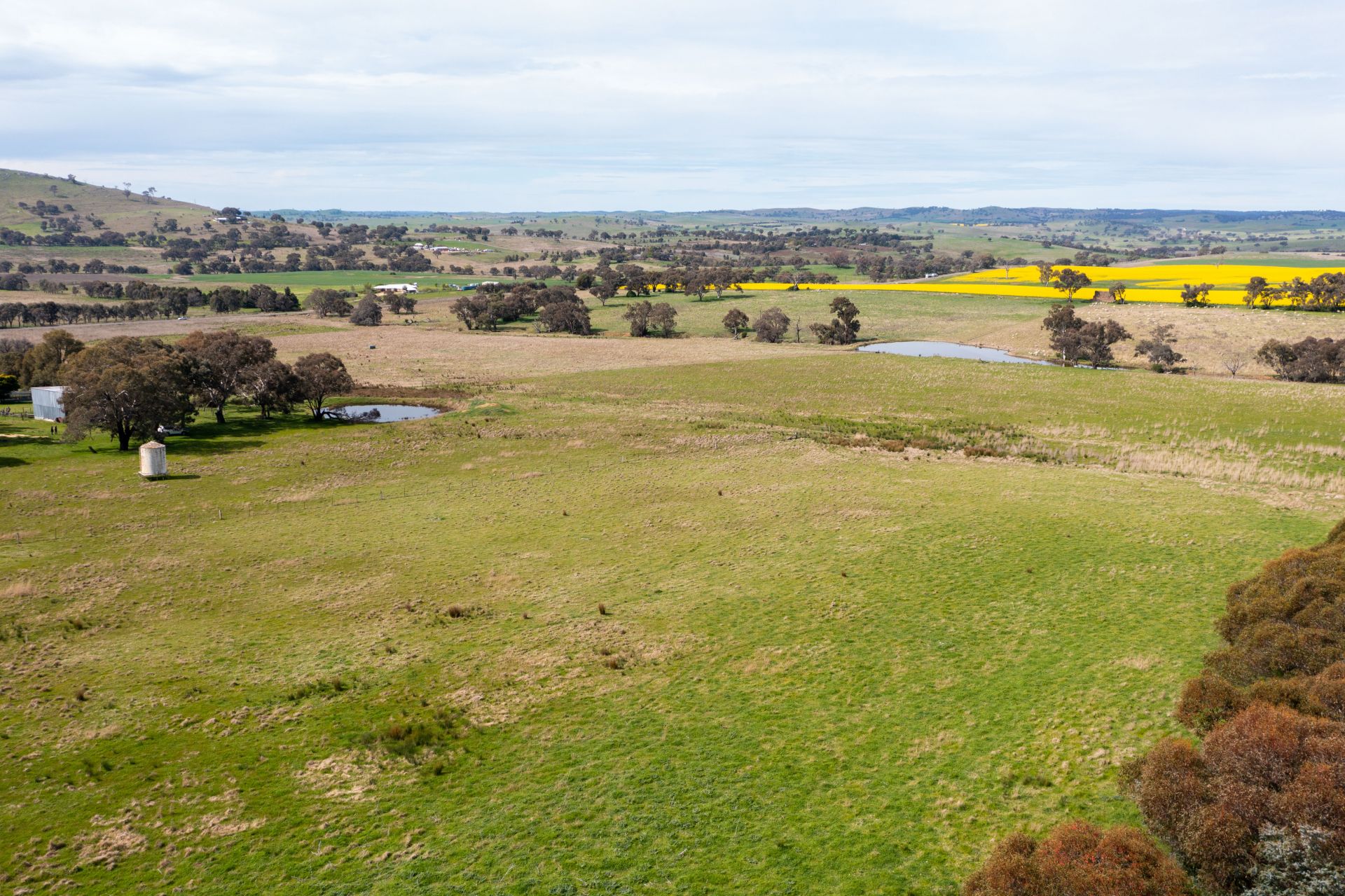 "Dots" 1887 Rye Park Road, Boorowa NSW, Boorowa - Thumbnail 5