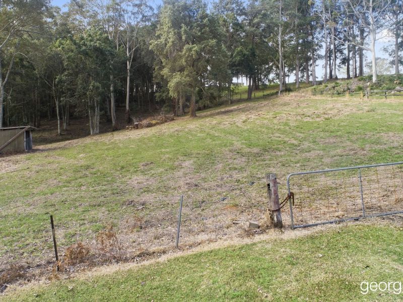 31 Karwin Avenue SPRINGFIELD NSW, Springfield - Thumbnail 3