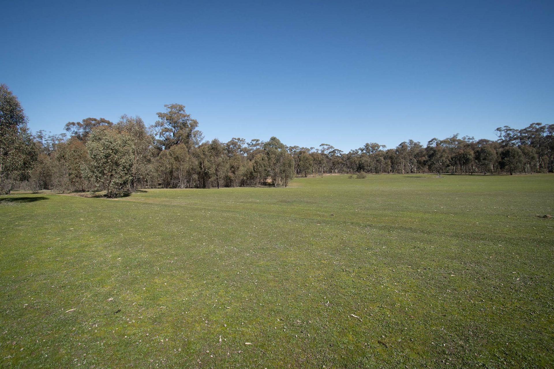 52 SEC 10/25 Long Bush Road, McIntyre - Thumbnail 6
