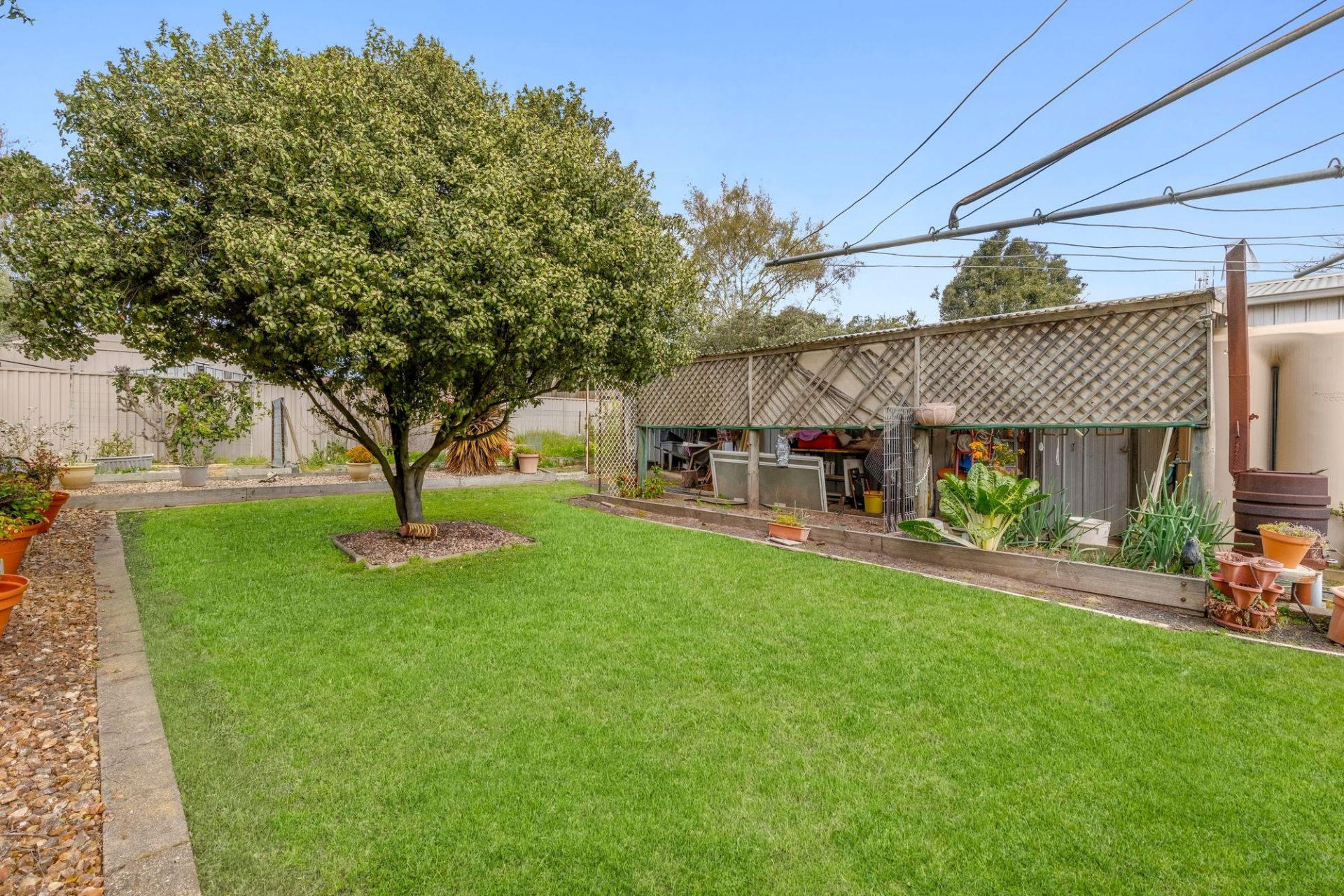 37 Palmerston Street Drysdale VIC, Drysdale - Thumbnail 6